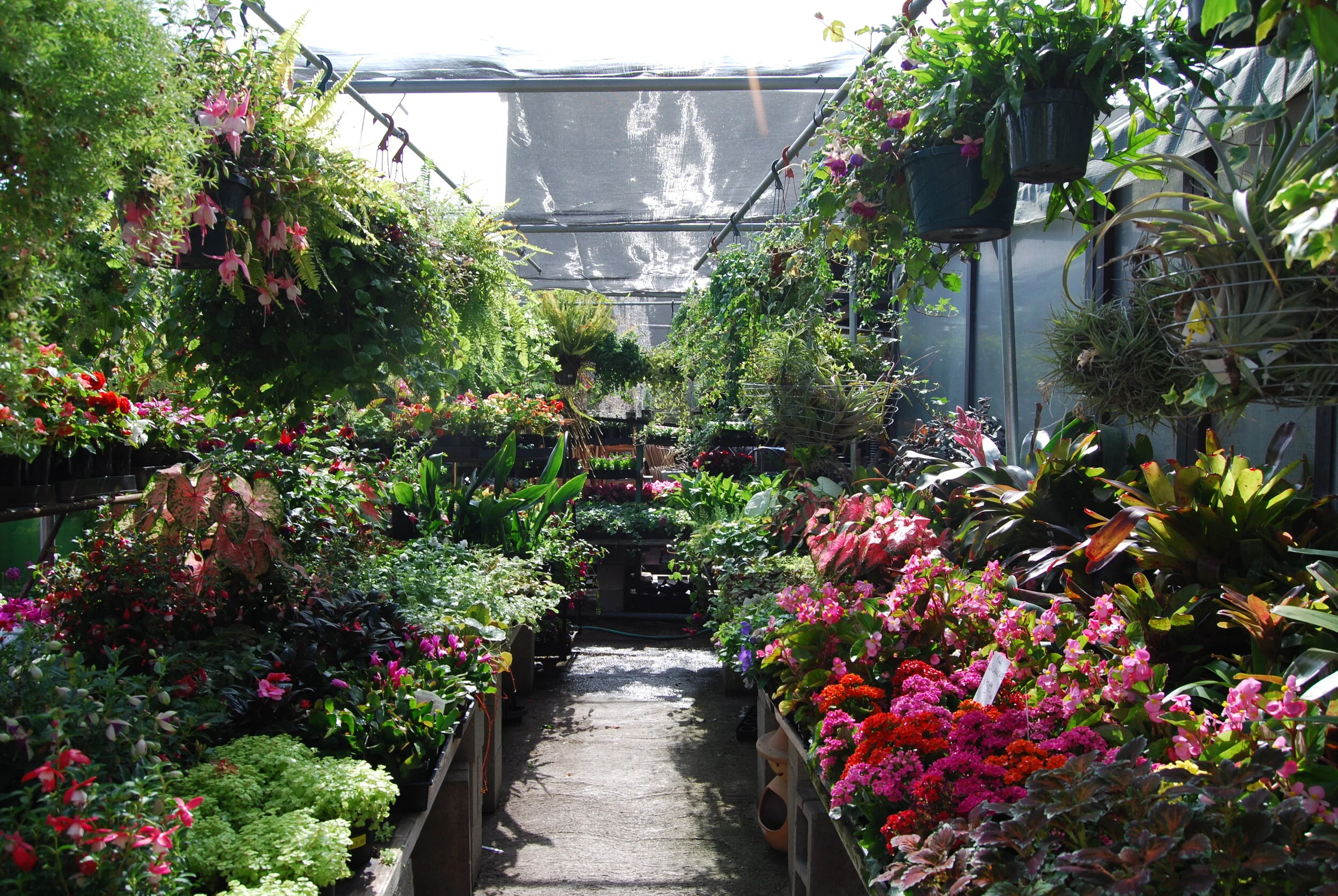 nursery shops near me