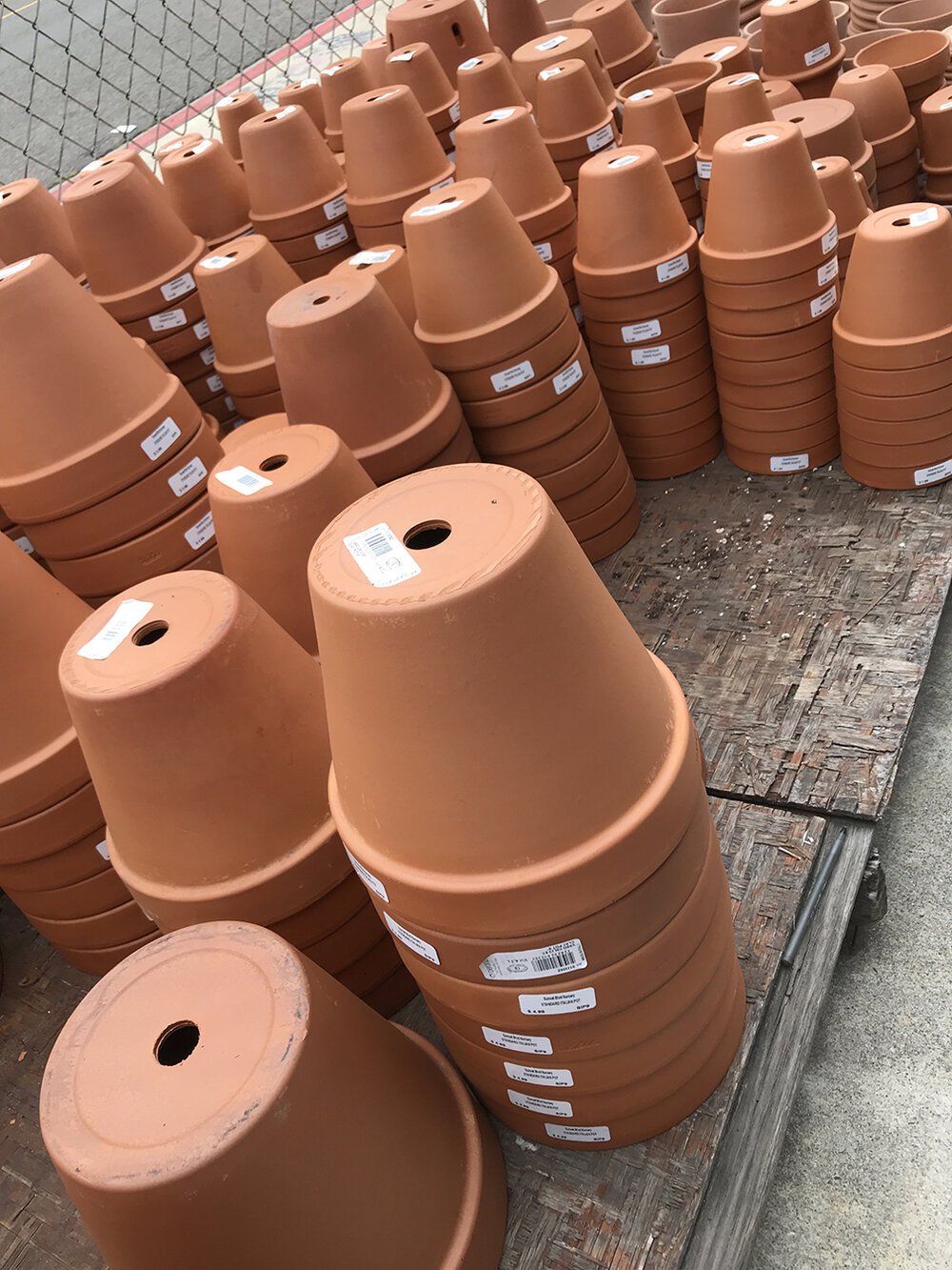 Terra Cotta Clay Pots — Sunset Blvd Nursery