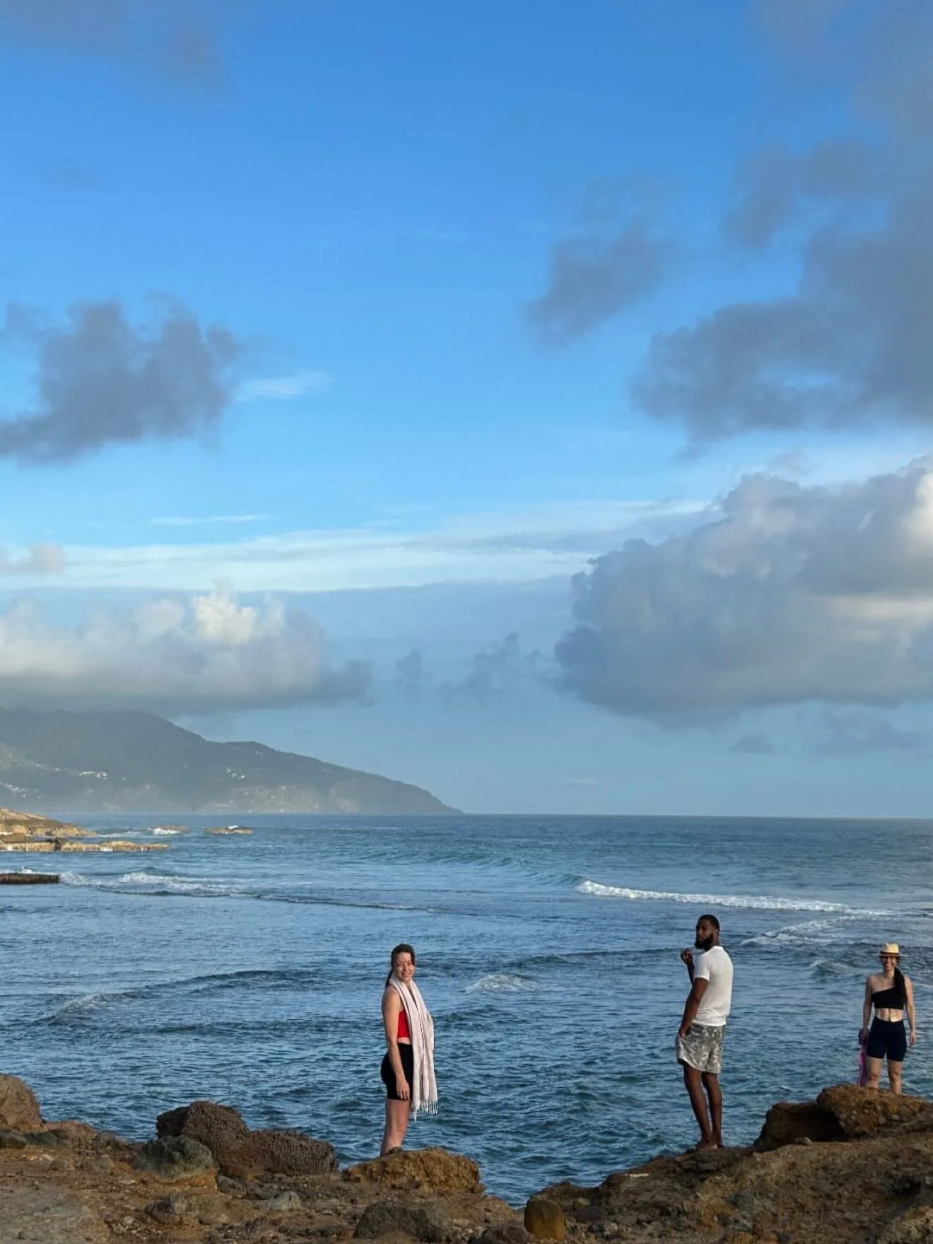 Dreaming of Dominica 🇩🇲 🌺🌴🍍🦜