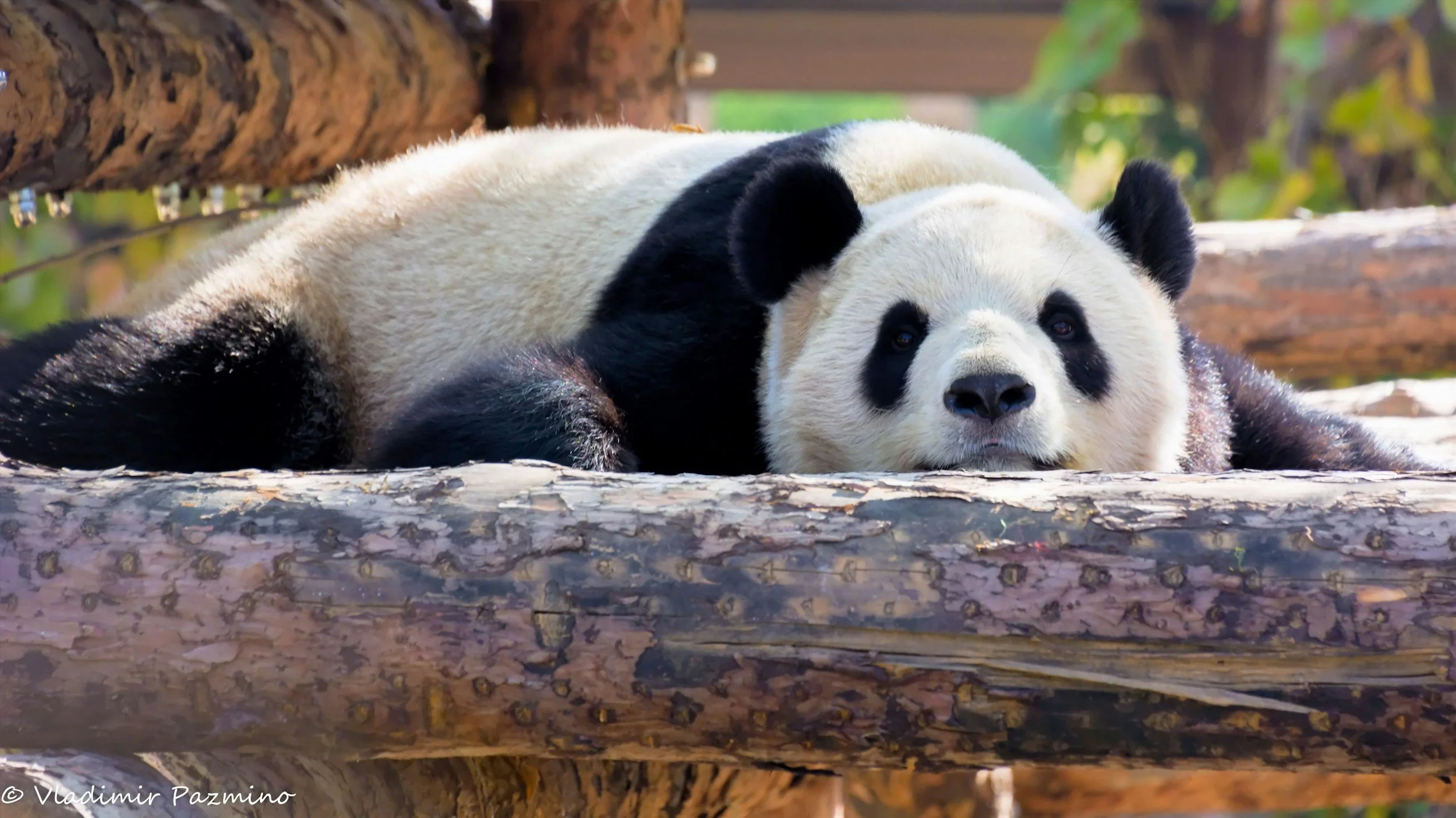 Five Ways to Calm Down When Anxiety Spikes