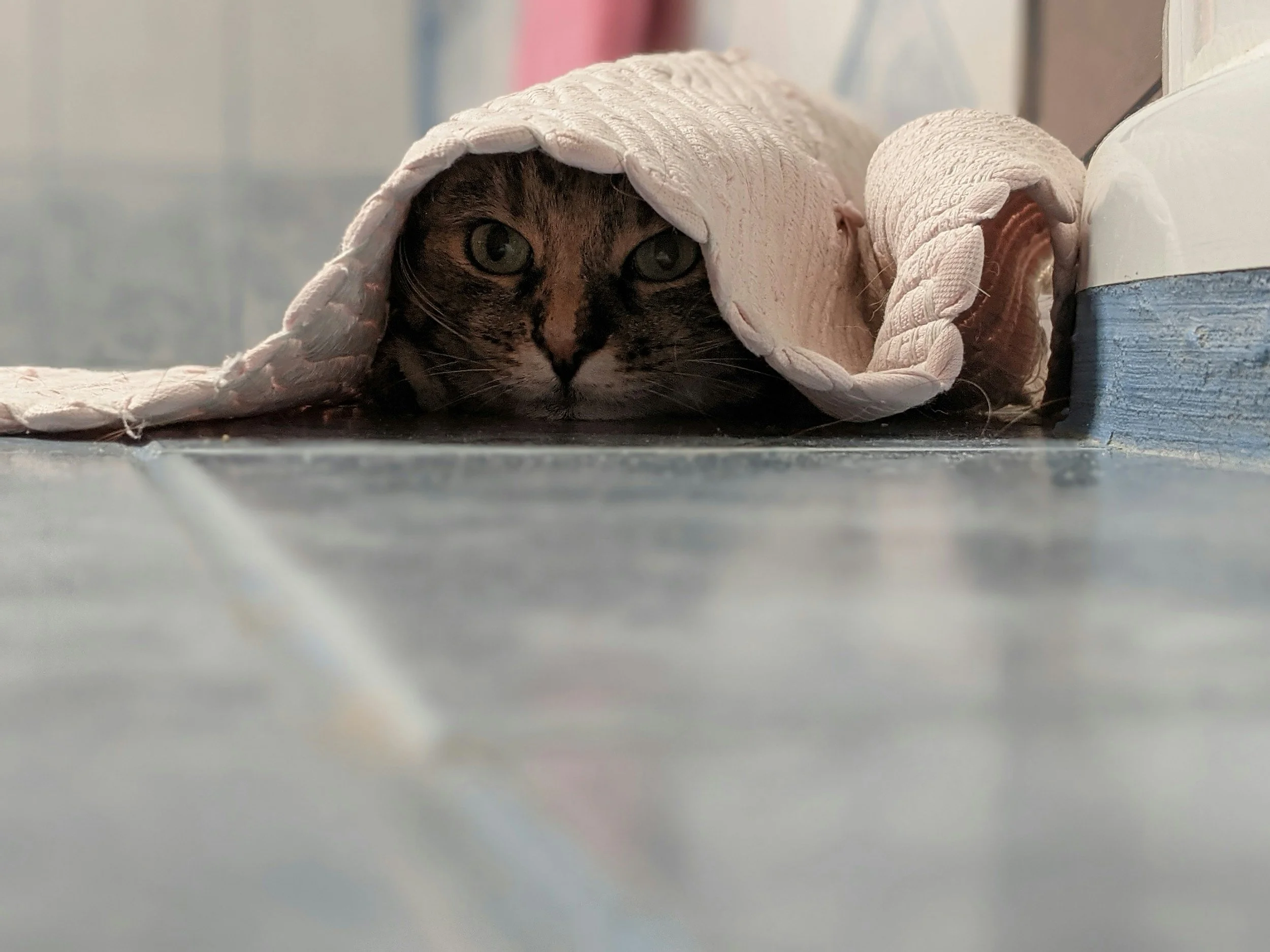 What Counts as Trauma? Understanding the Hidden Wounds