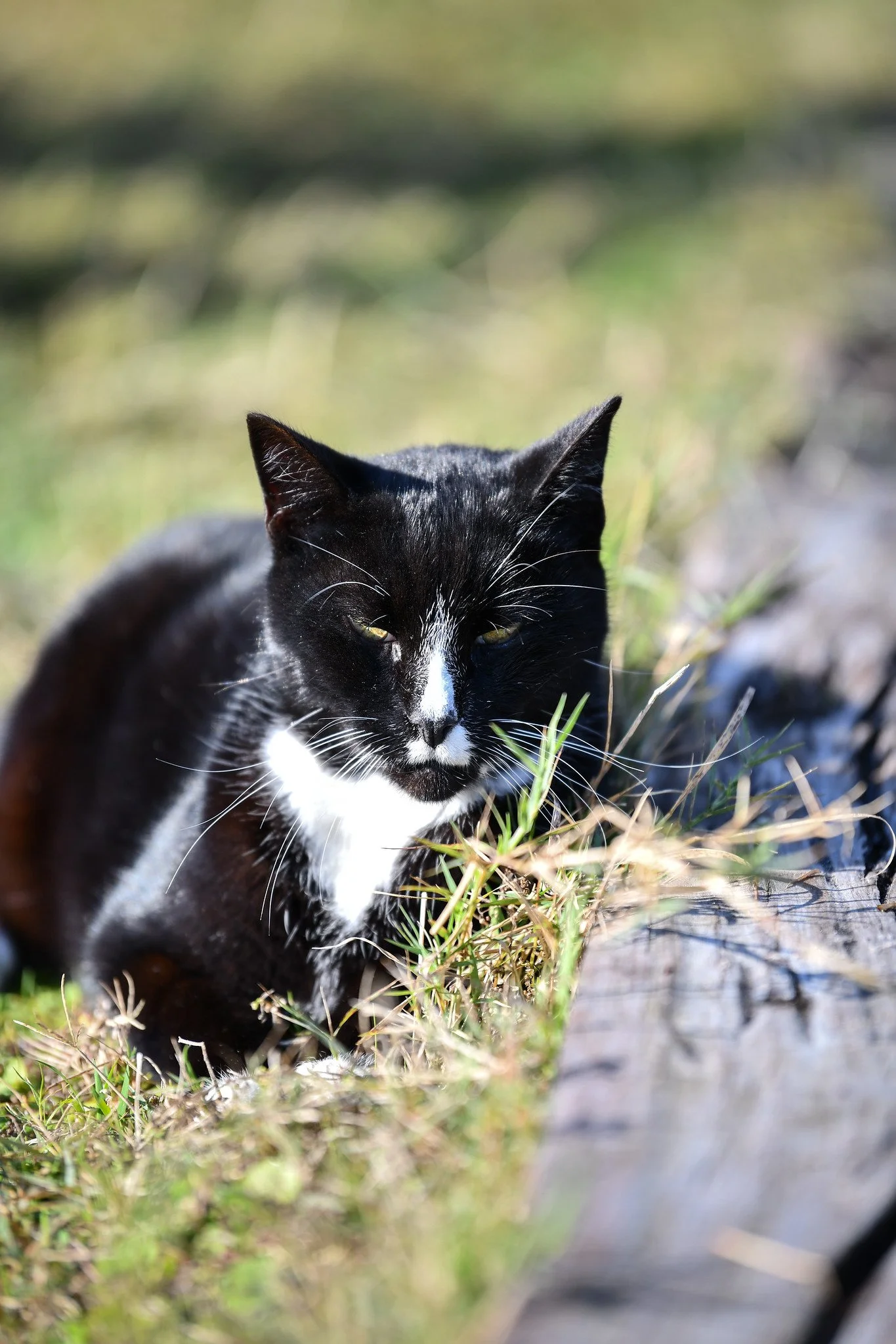 Photo Dec 13 2025, 4 32 06 AM.jpg