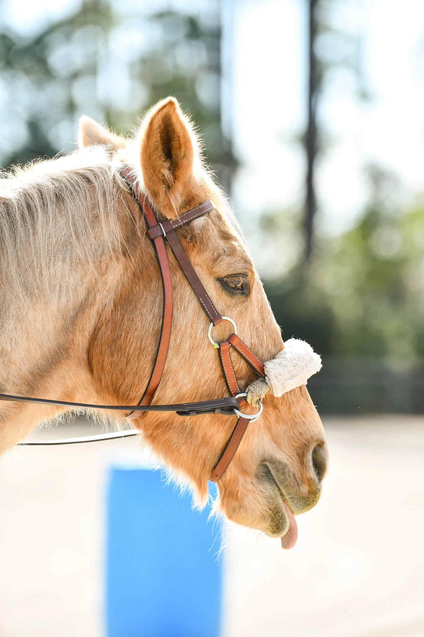 Photo Dec 13 2025, 5 42 05 AM.jpg