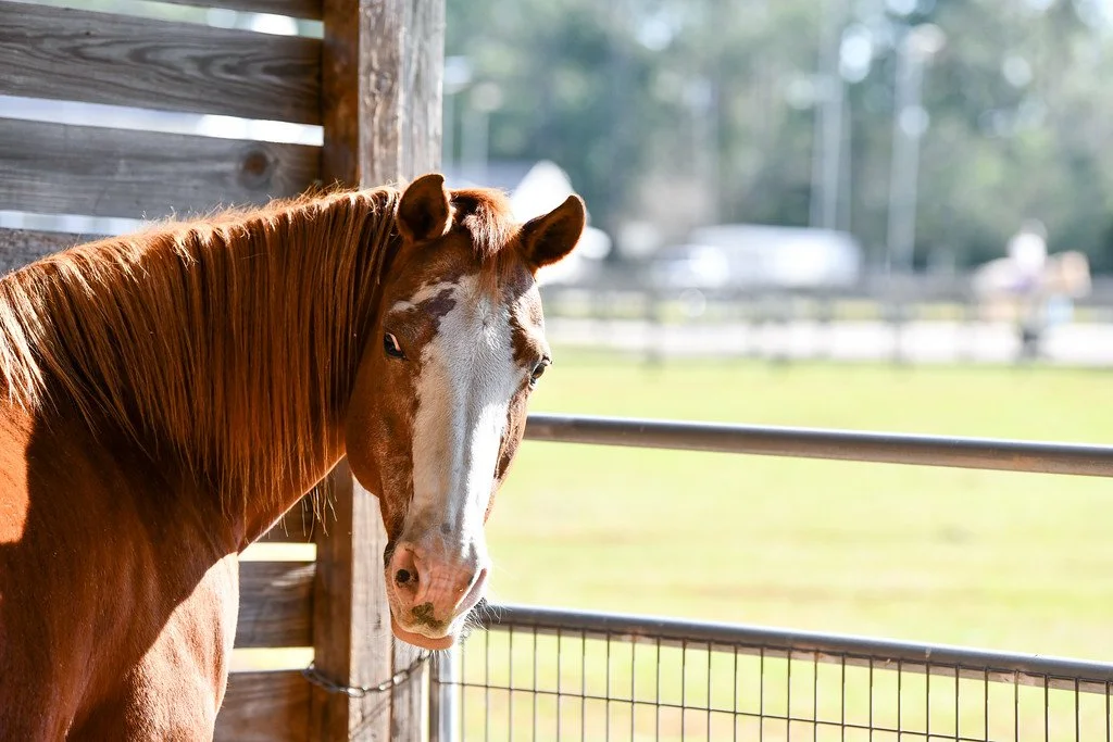 Photo Dec 13 2025, 5 51 06 AM.jpg