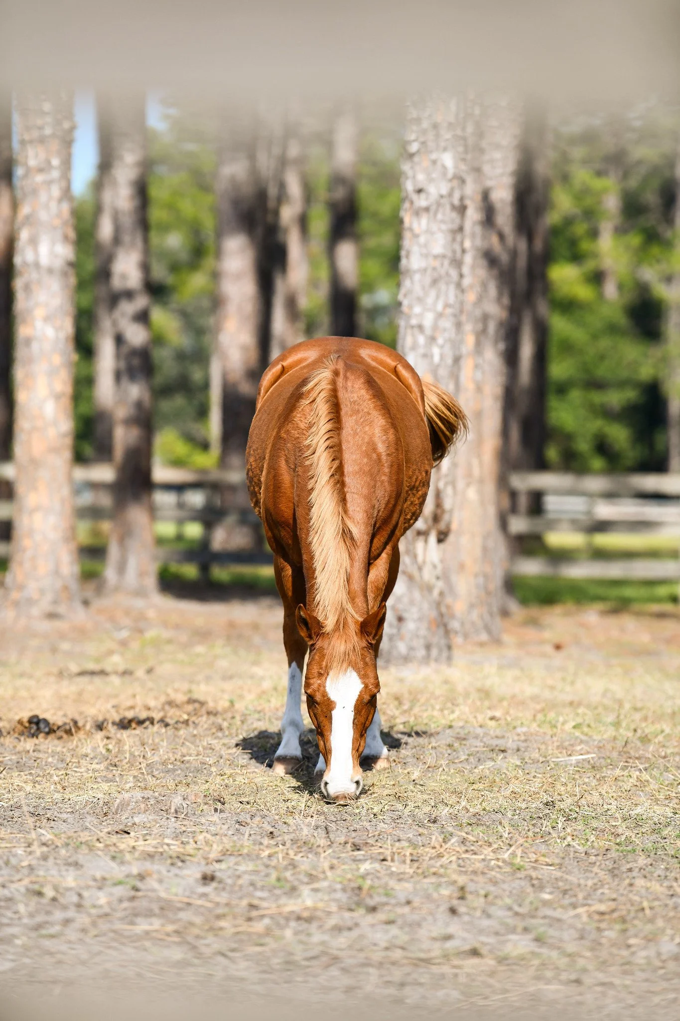 Photo Dec 13 2025, 5 44 51 AM.jpg