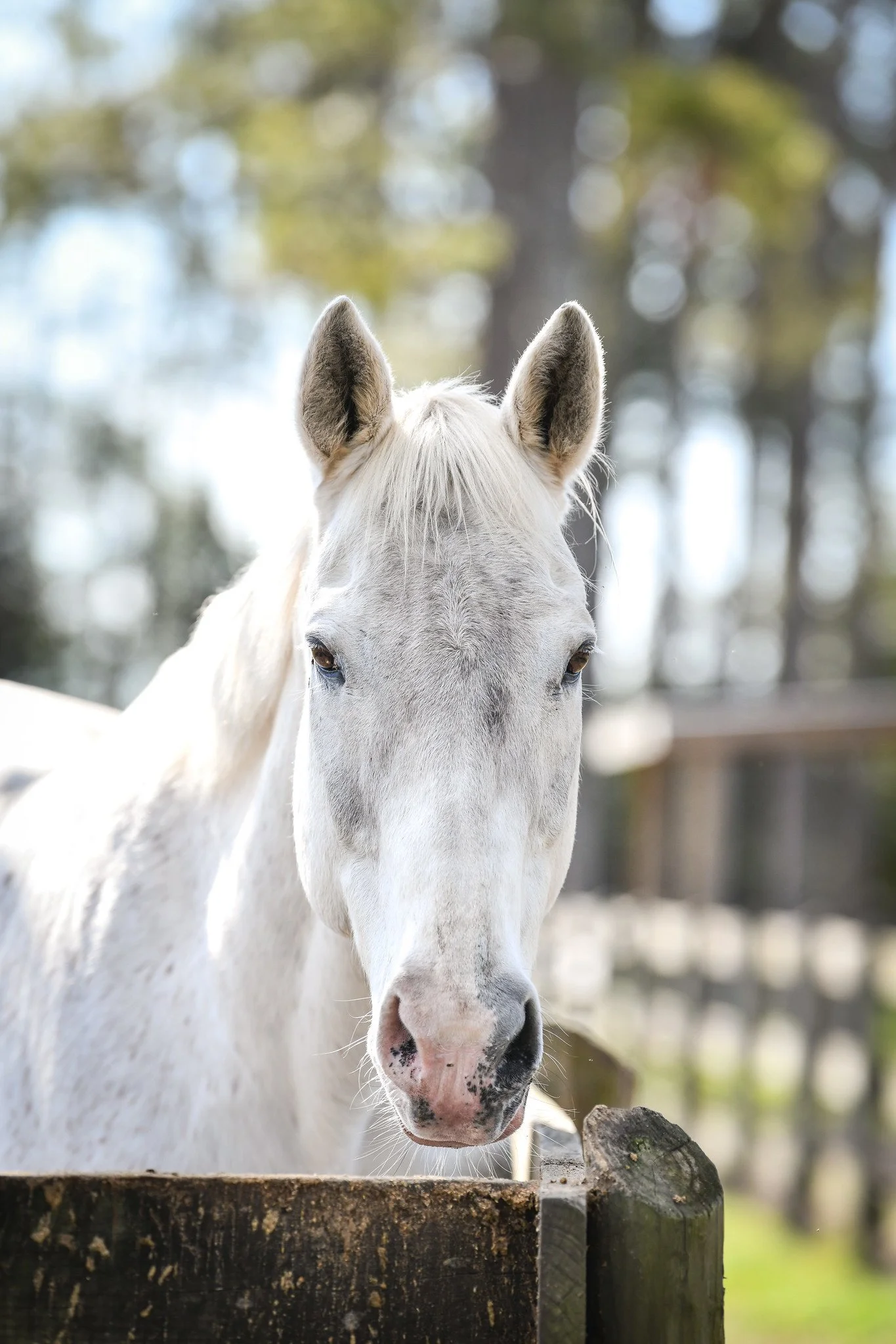 Photo Dec 13 2025, 5 49 03 AM.jpg