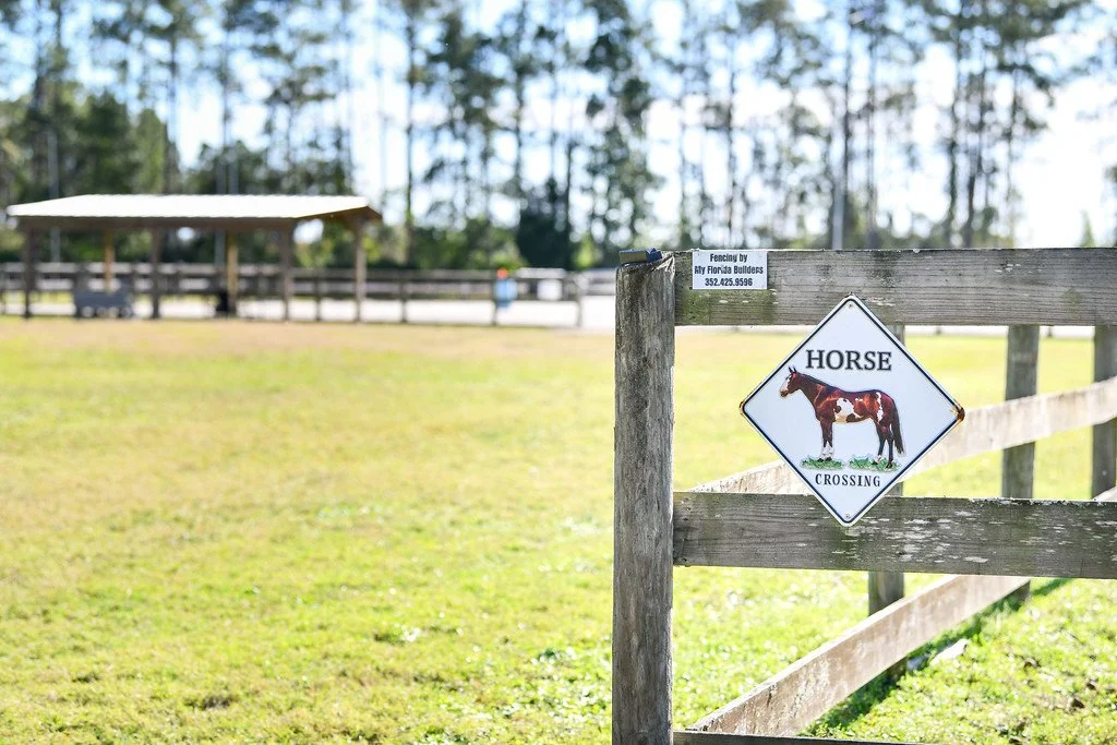 Photo Dec 13 2025, 7 02 05 AM.jpg