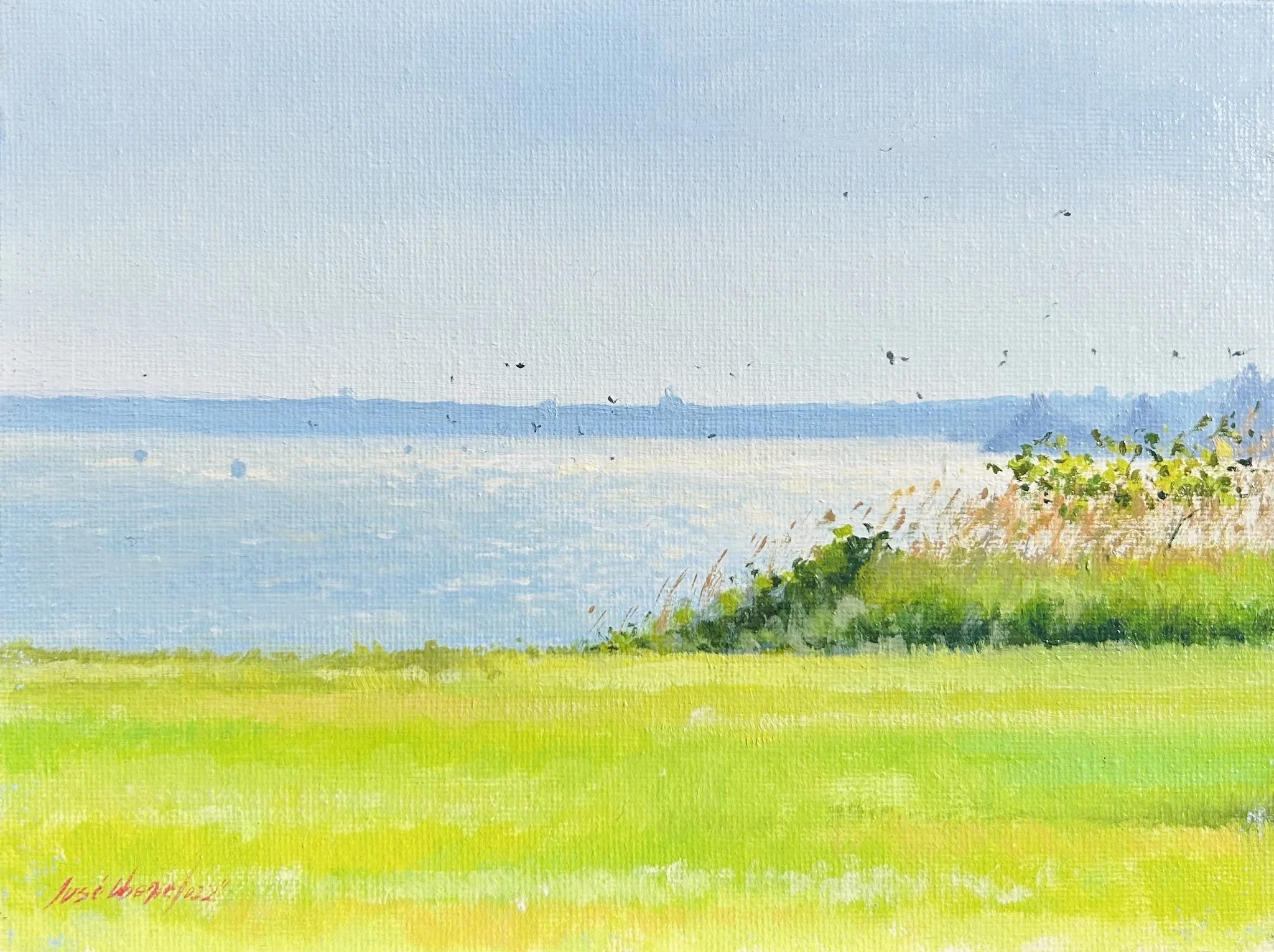 Summer Breeze	 by Jose Ramirez