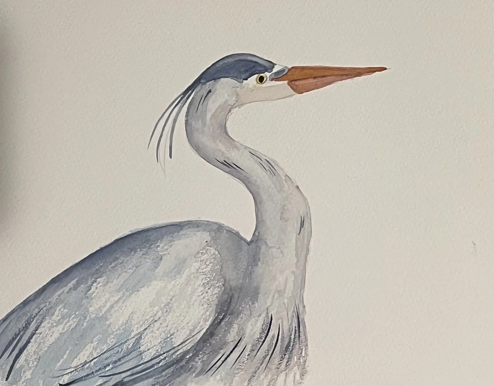 Heron Profile by Kim Dixon