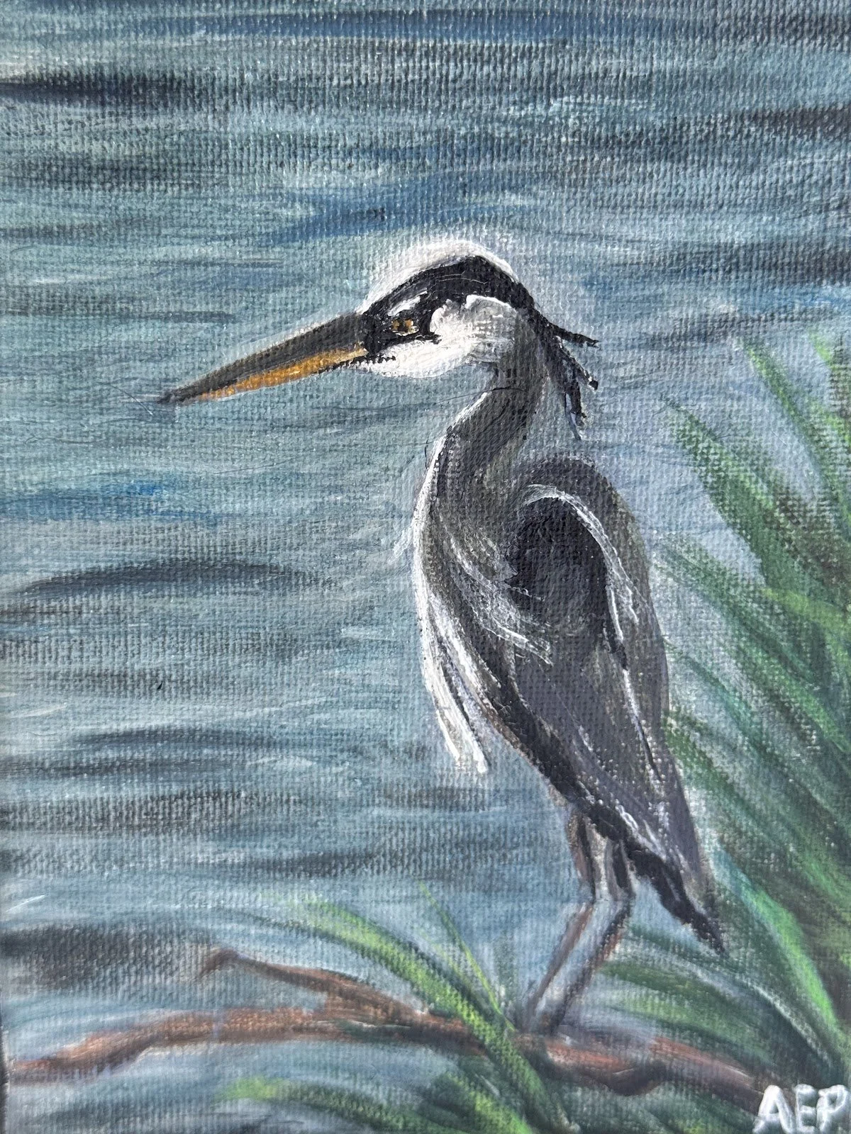 Blue Heron by Anne Phelps