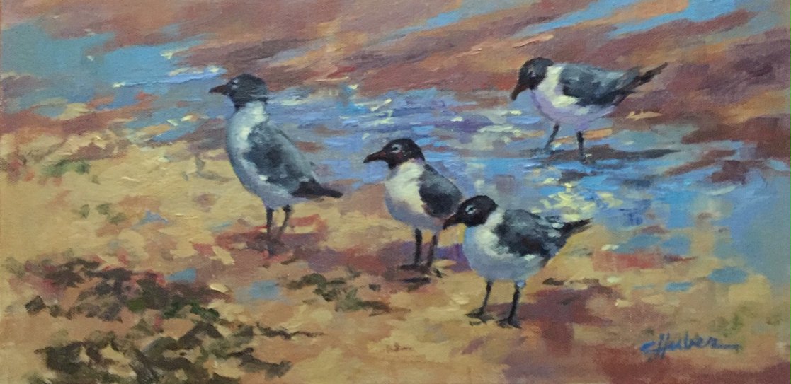 Tide Pool Gulls by Carla Huber