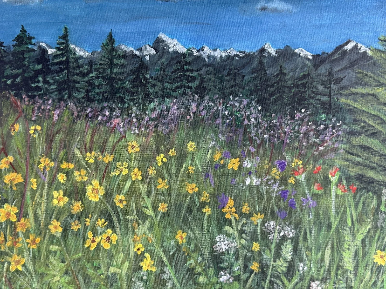 Alpine Meadow	by Anne Phelps