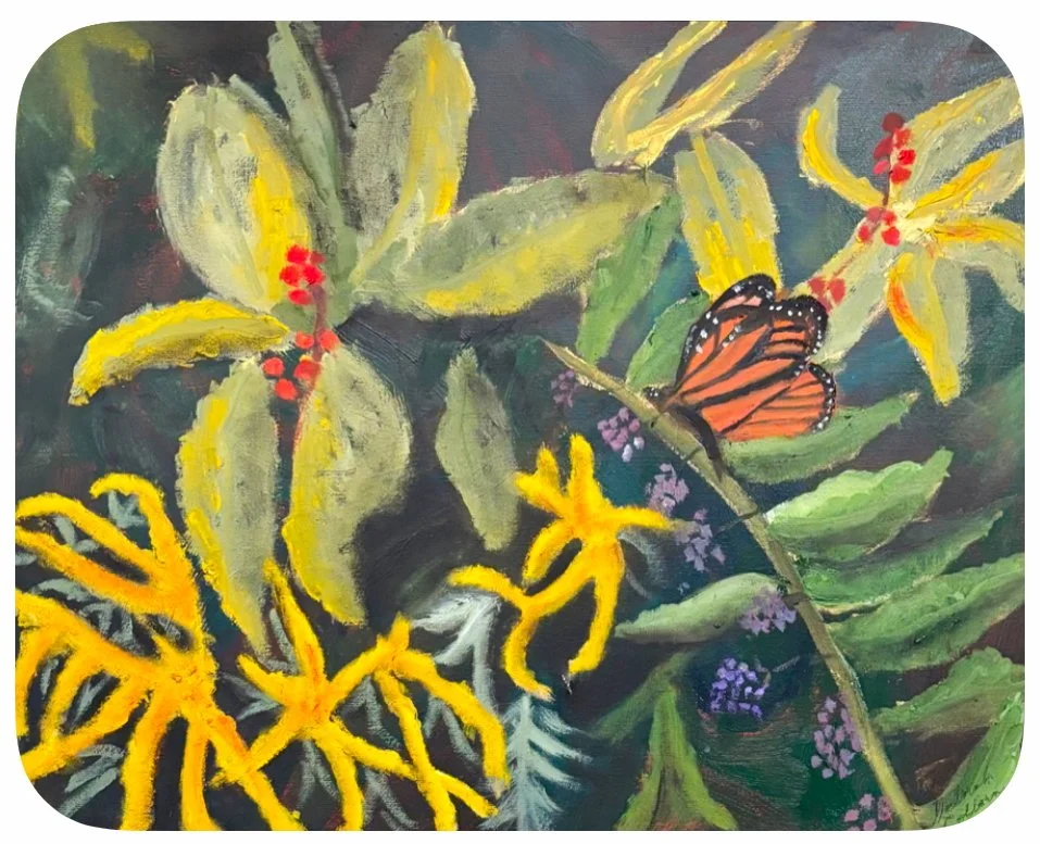 My Native Garden by Deborah Colborn