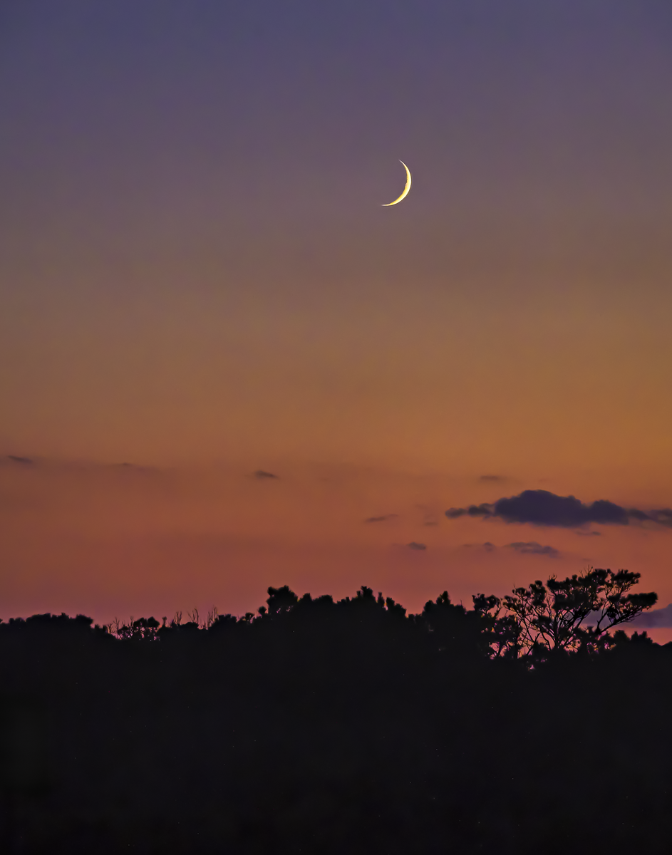 Assateague Moon by Robert Sullivan