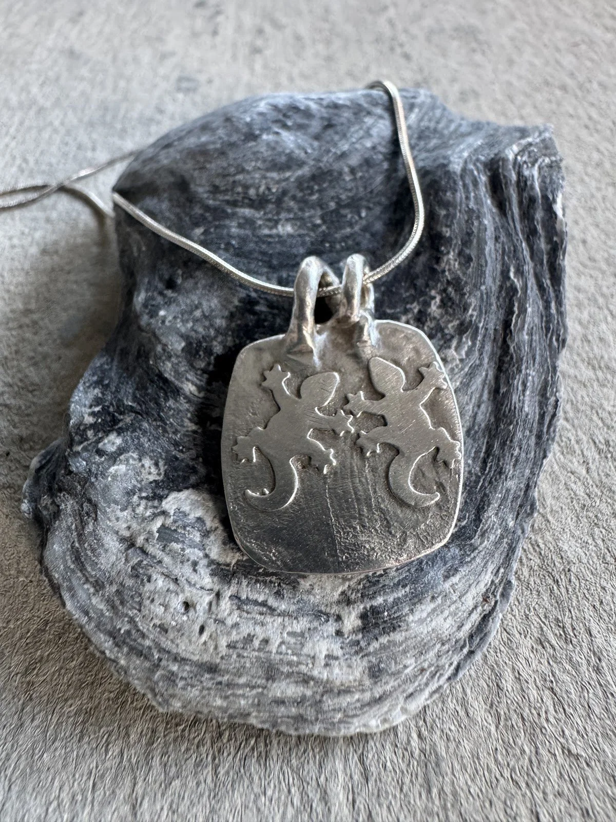 Gekko on one side, flower on the other by Robin Morgan