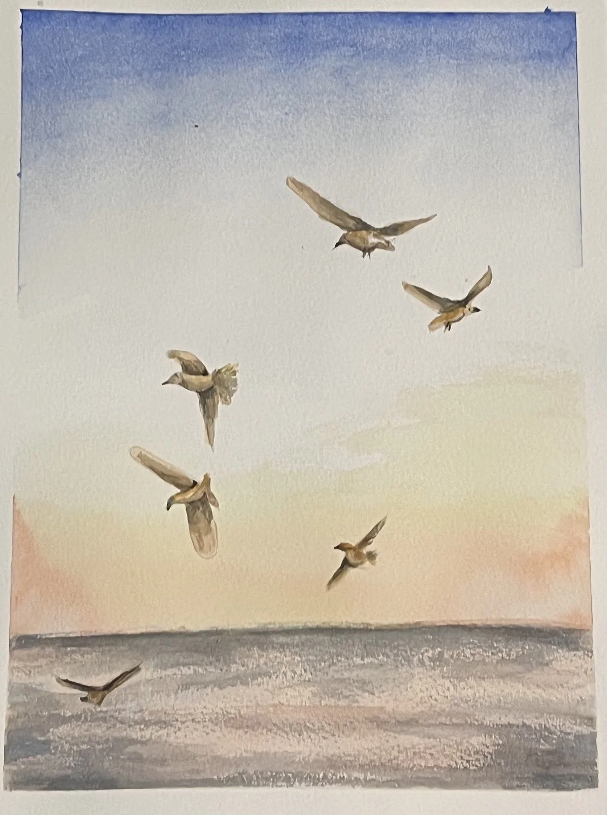 Sunset Seagull by Kim Dixon