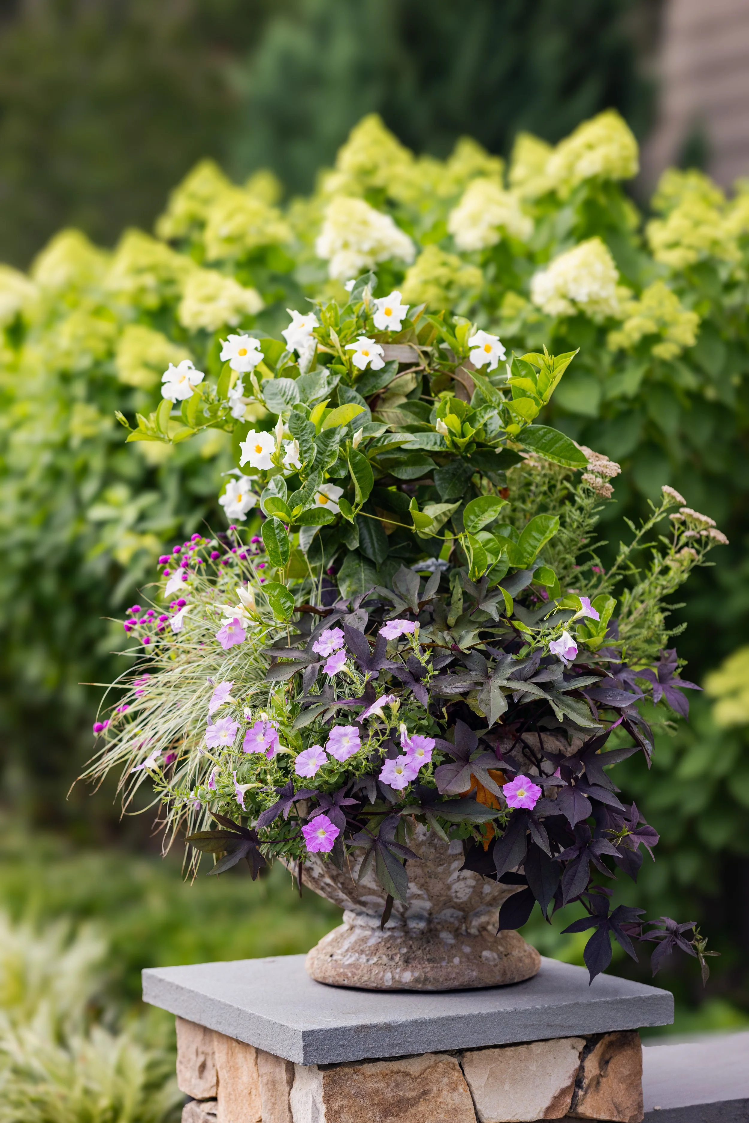 071723_Newtown_Square_Property_225__1.jpg