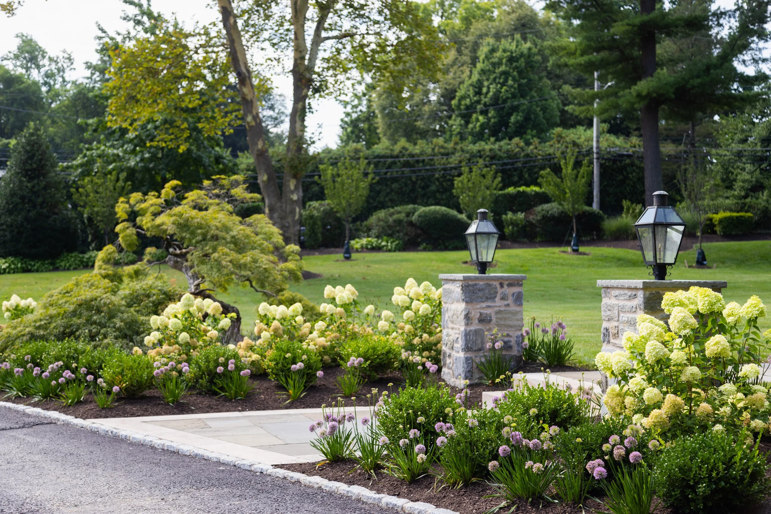 Roots_Kaplow_109_.jpg