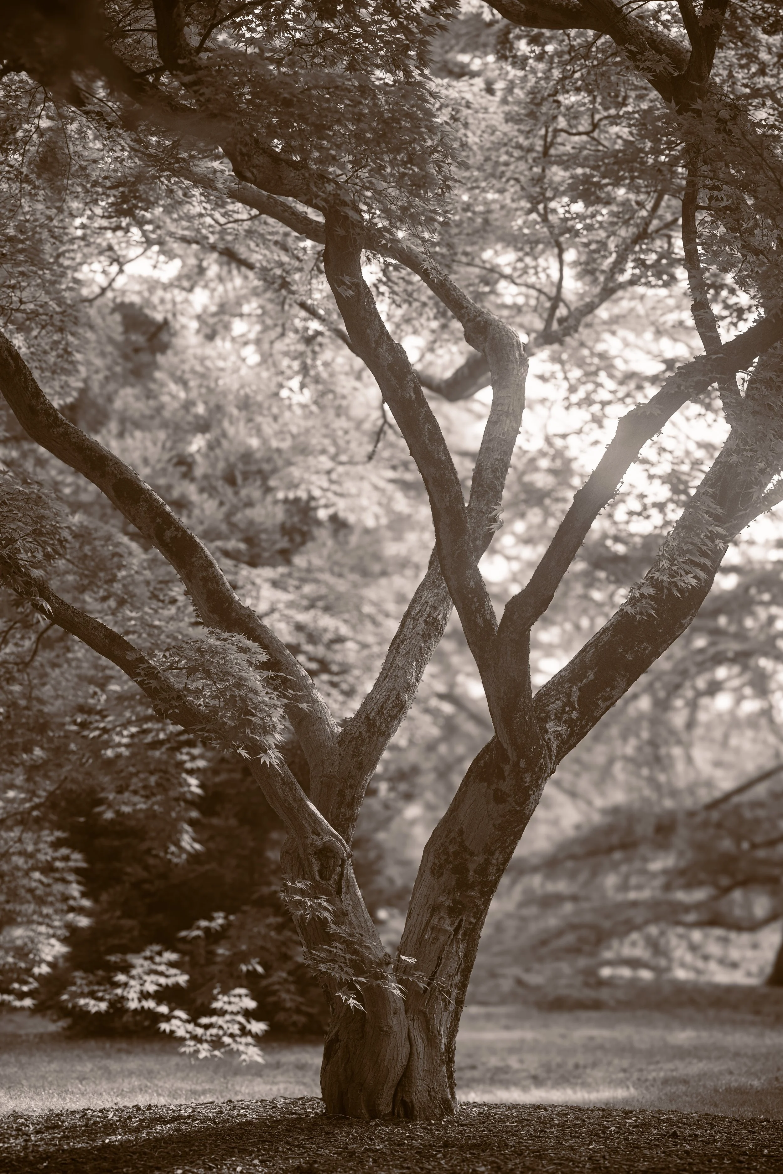 149A5400.jpg