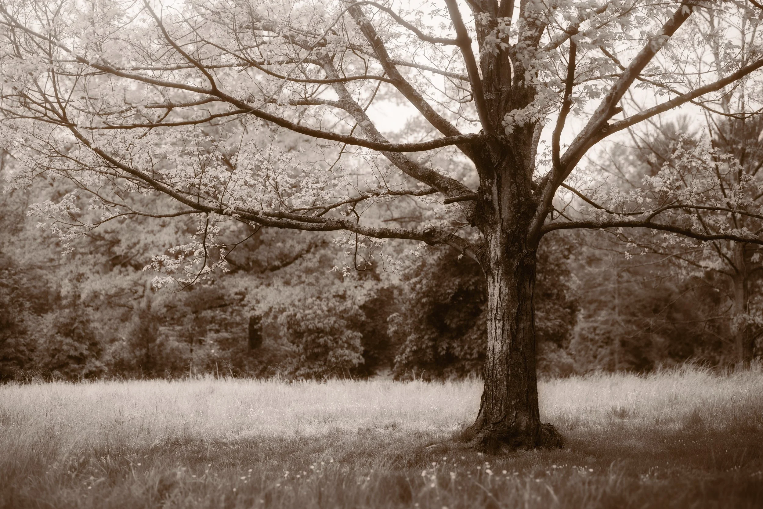 149A2004.jpg