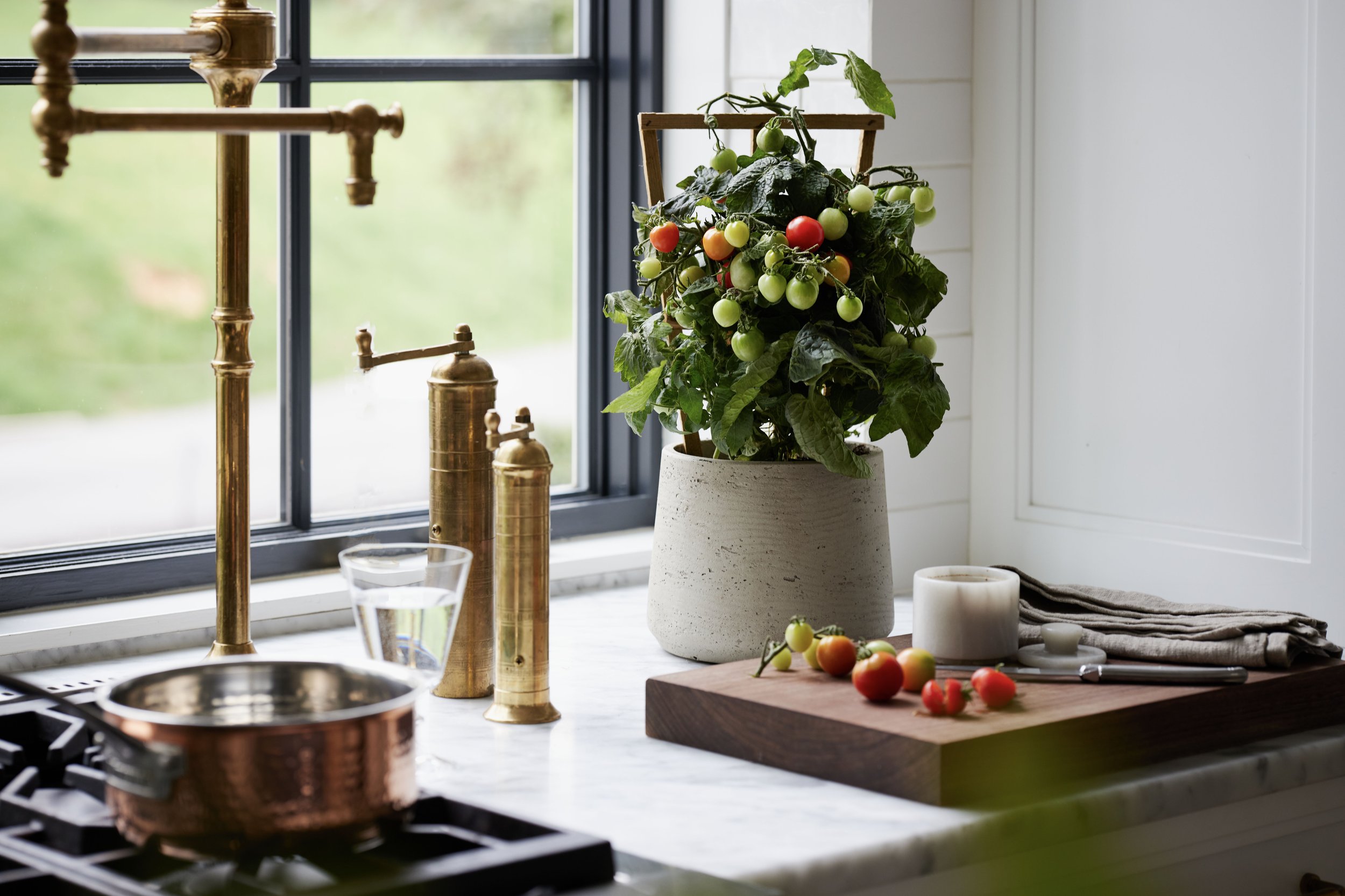 Sungrove_Tomato_9_ (1).jpg