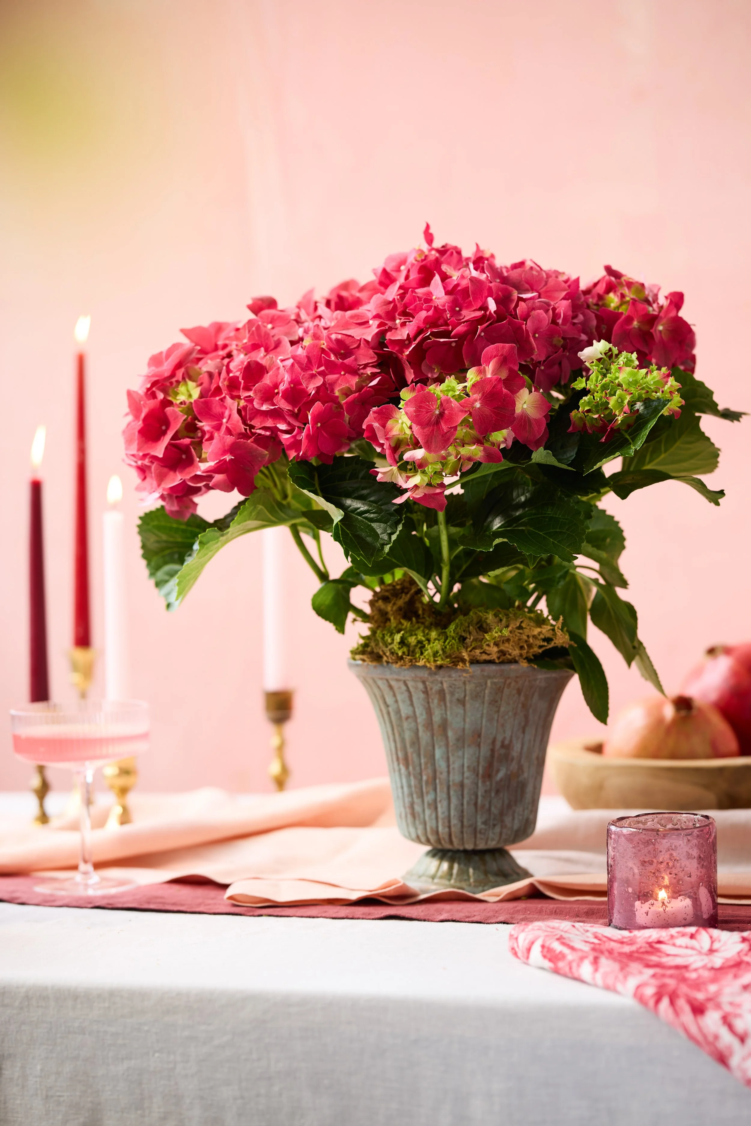030726_Sungrove_Valentines_Day_028.jpg