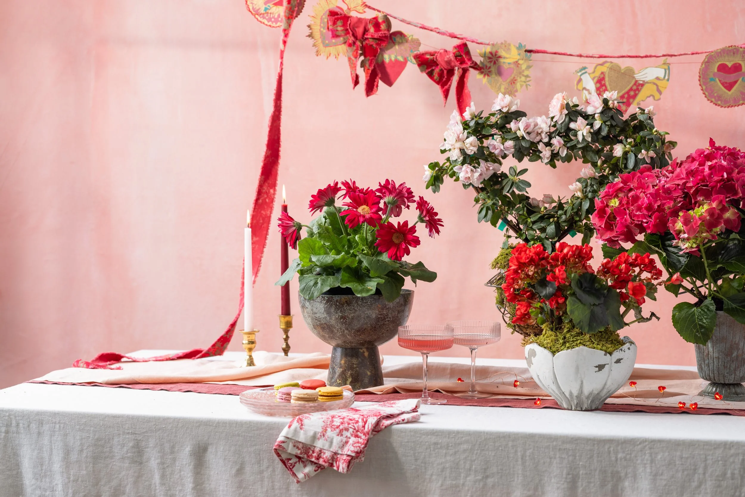 030726_Sungrove_Valentines_Day_009.jpg