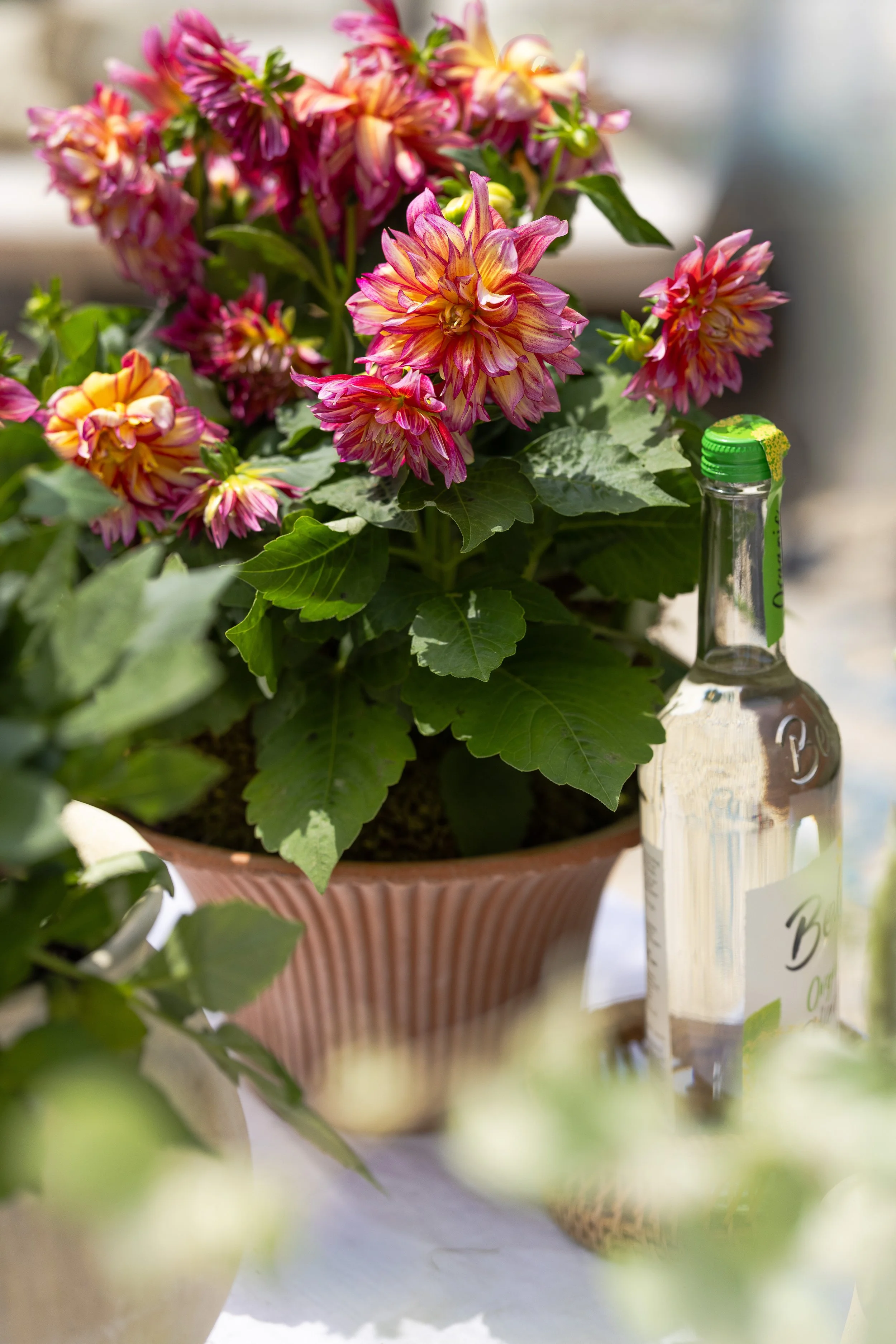 042426_Sungrove_Lifestyle_035.jpg