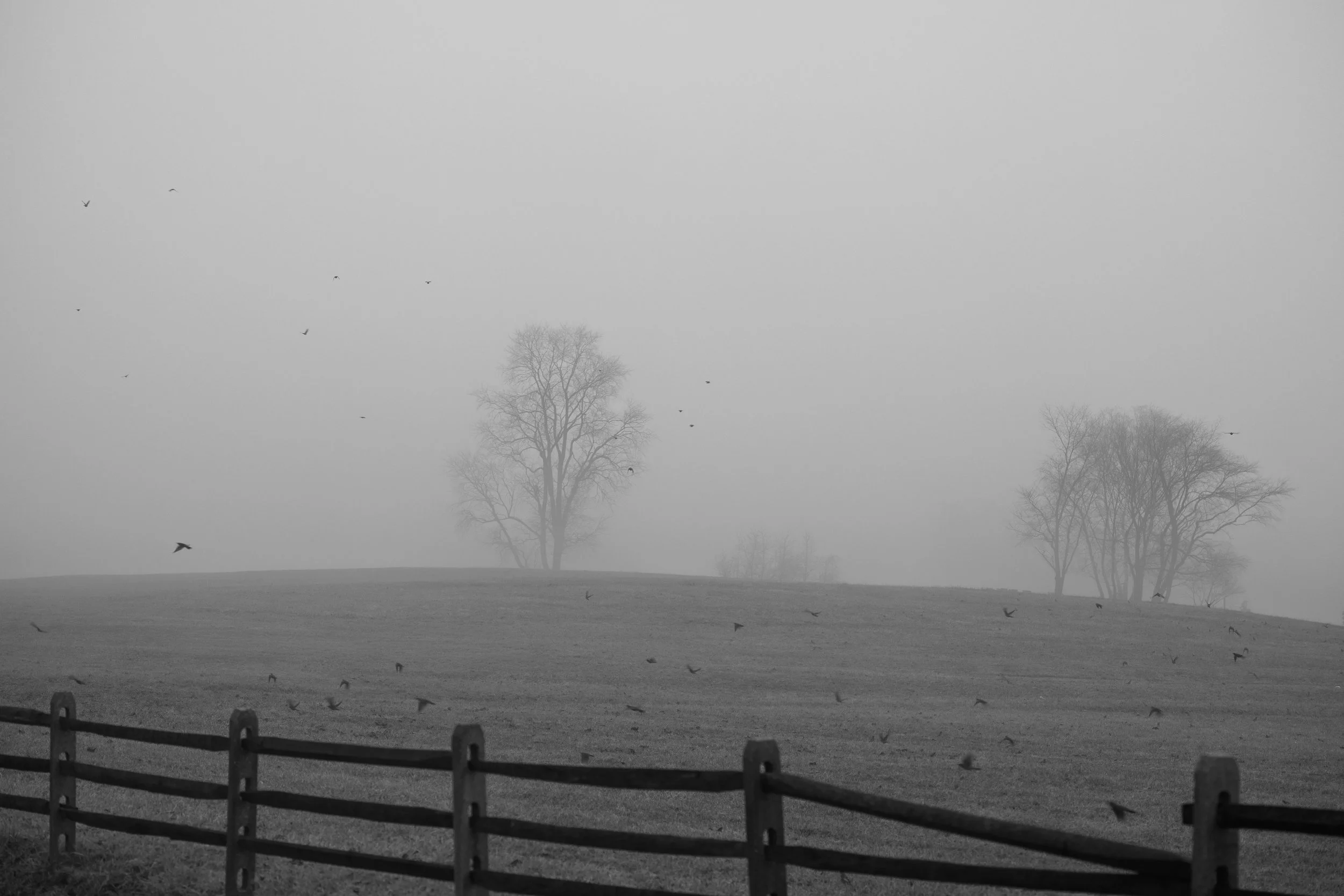 149A6693_1.jpg