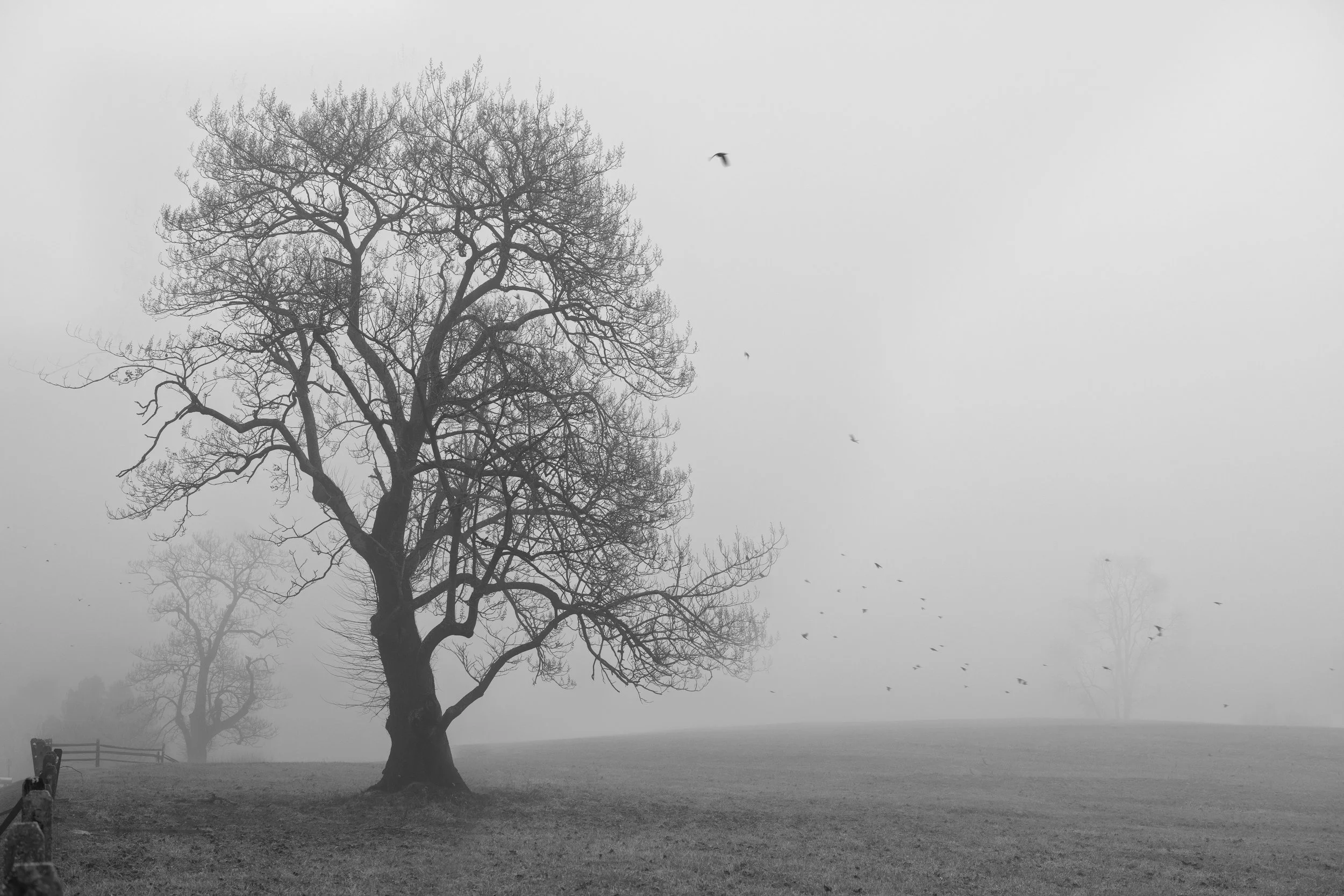 Untitled-2.jpg