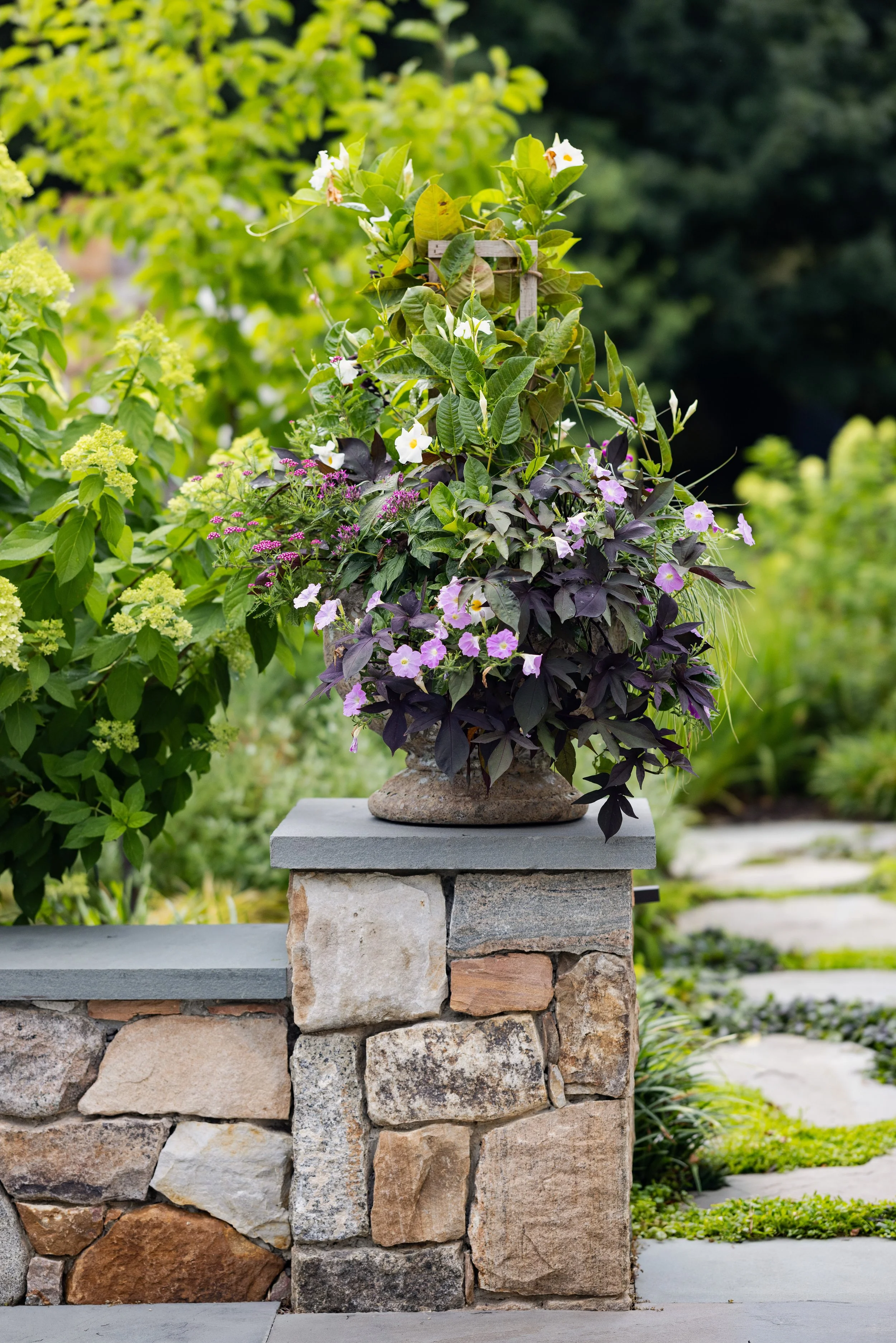 071723_Newtown_Square_Property_220__1.jpg