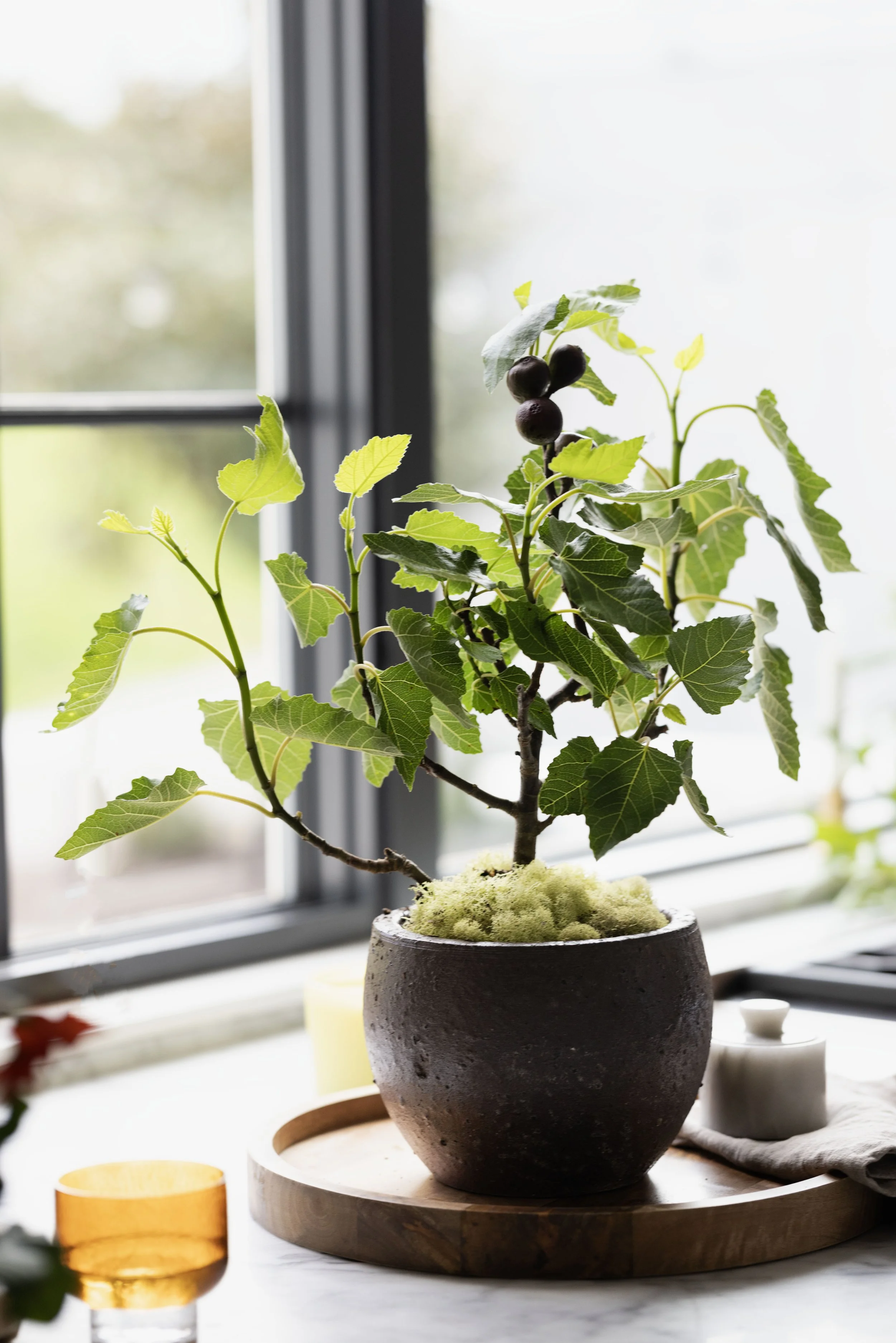 Sungrove_Fig_Kitchen_0_ (1).jpg