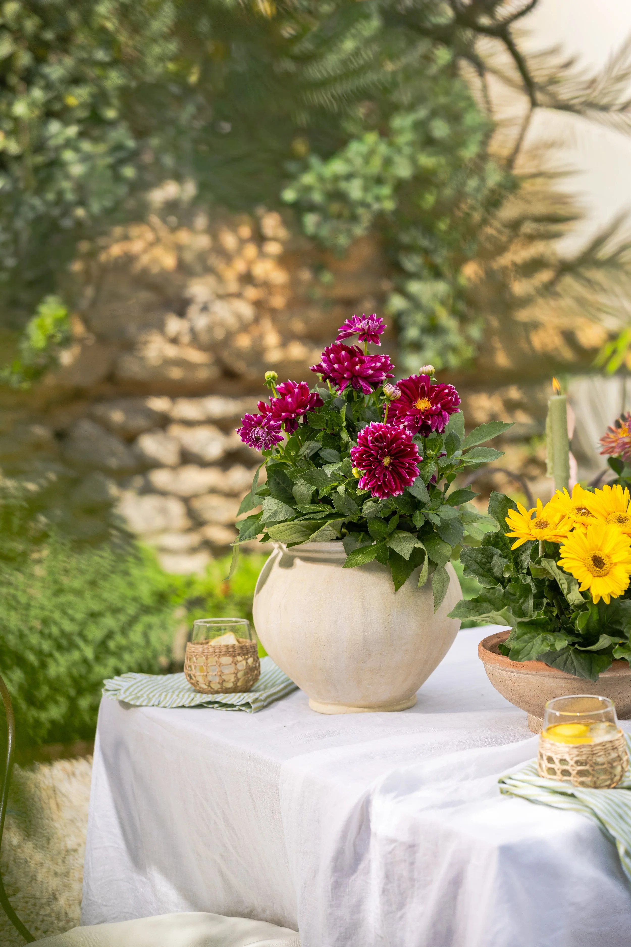 042426_Sungrove_Lifestyle_015.jpg