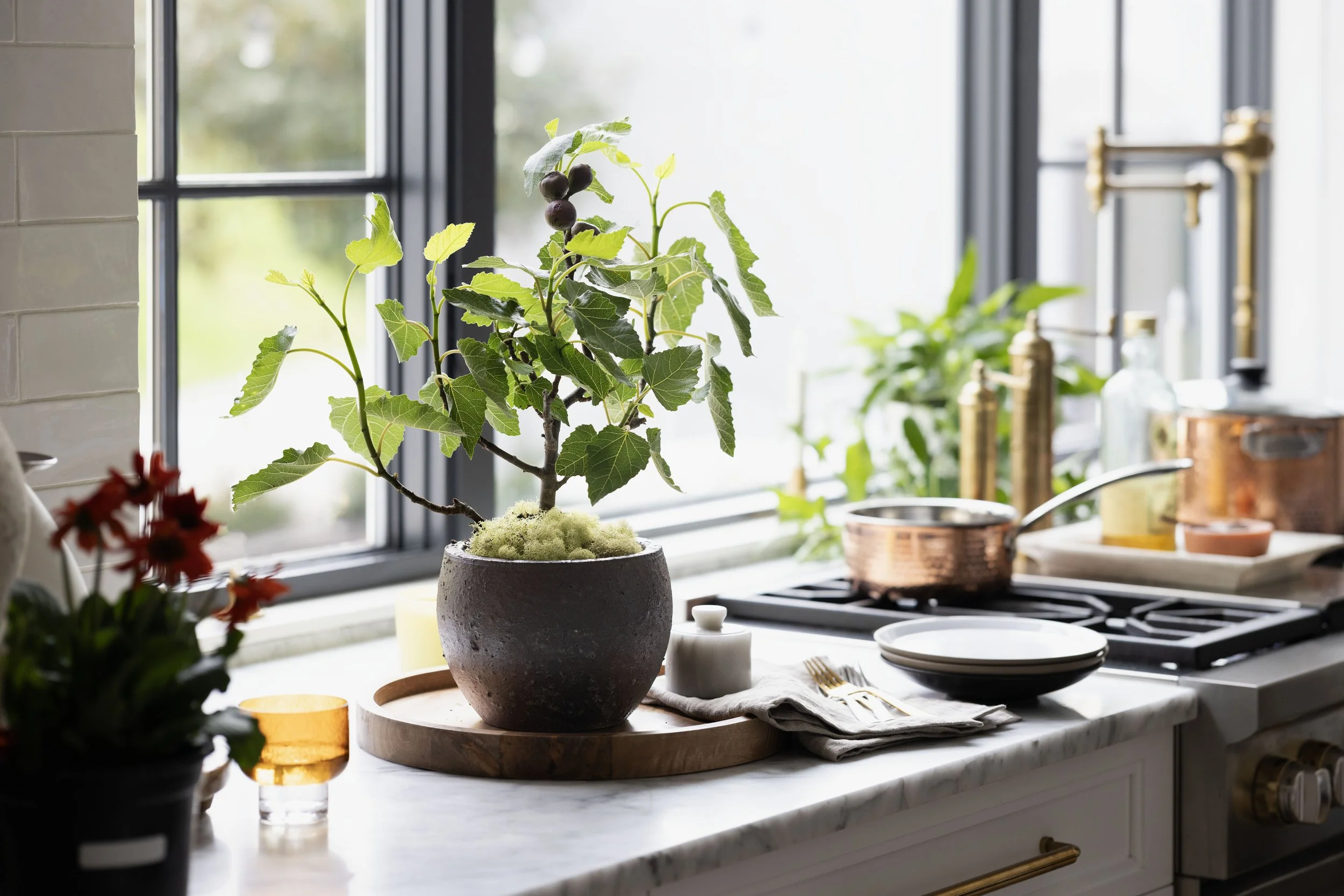 Sungrove_Fig_Kitchen_6_.jpg