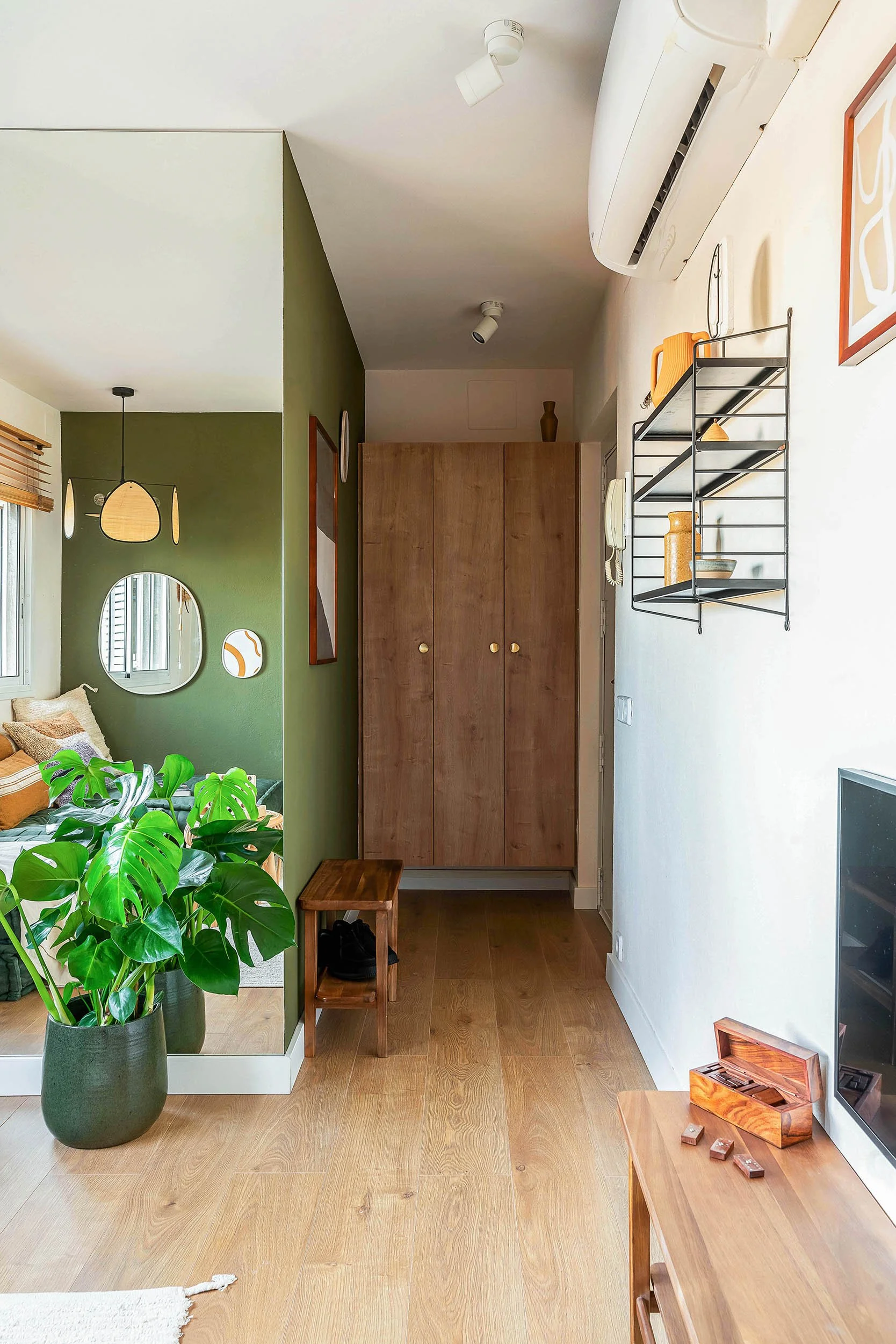 Modern apartment interior with wooden floors, a green accent wall, large potted plant, round mirror, wooden cabinets, and wall-mounted shelf.