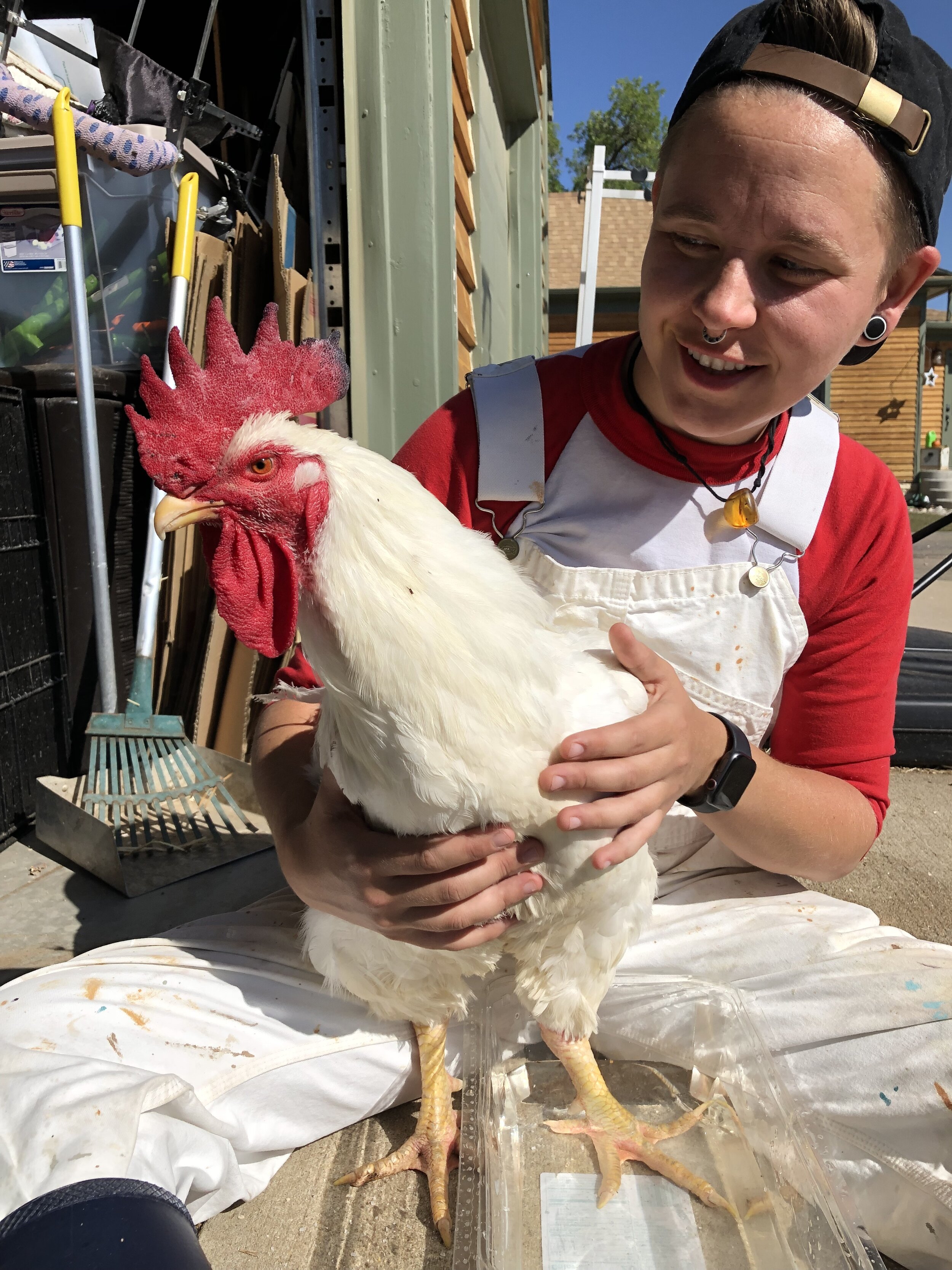 HOLDING ROOSTER.jpeg