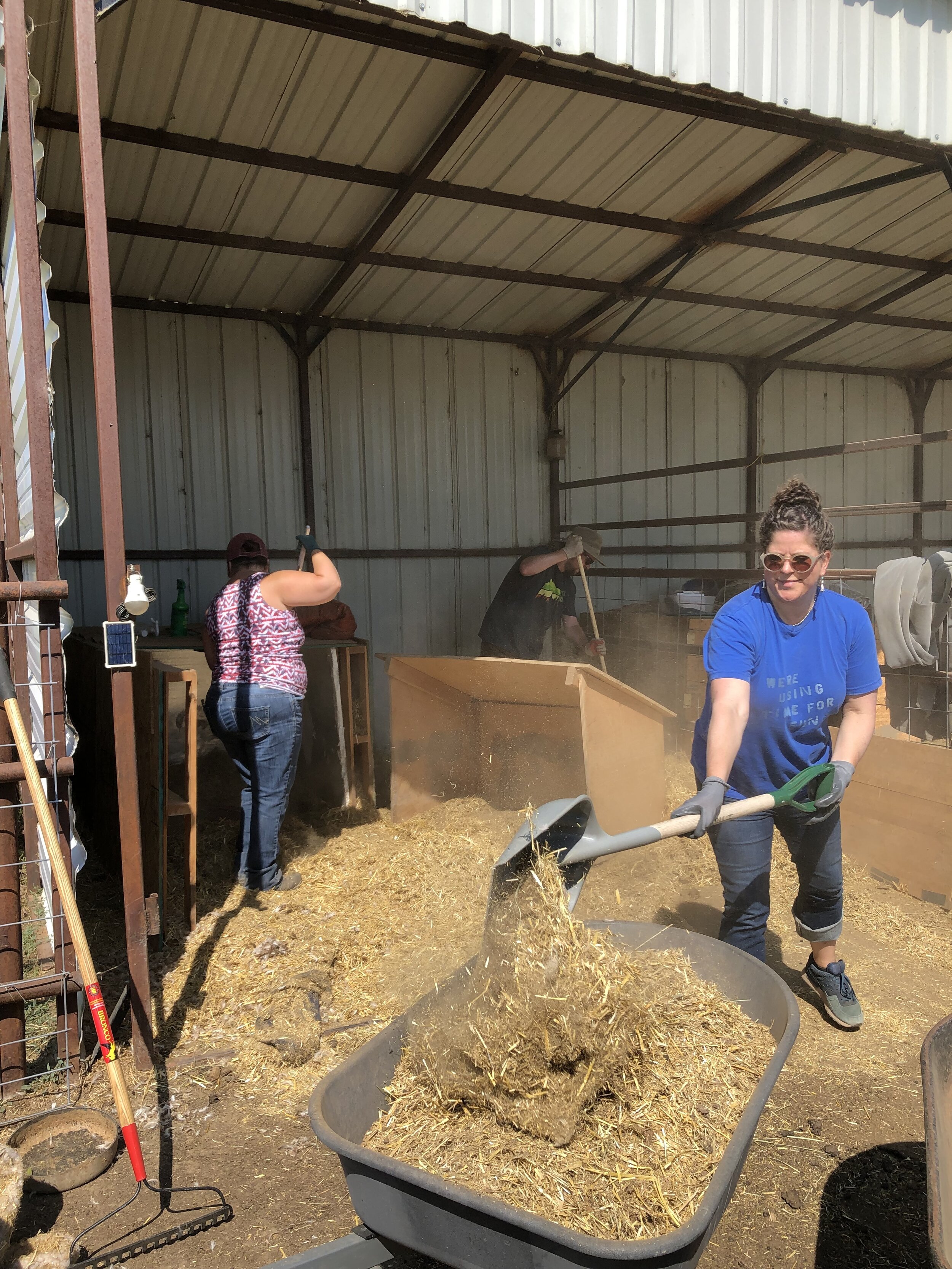 SHOVELING HAY.jpeg