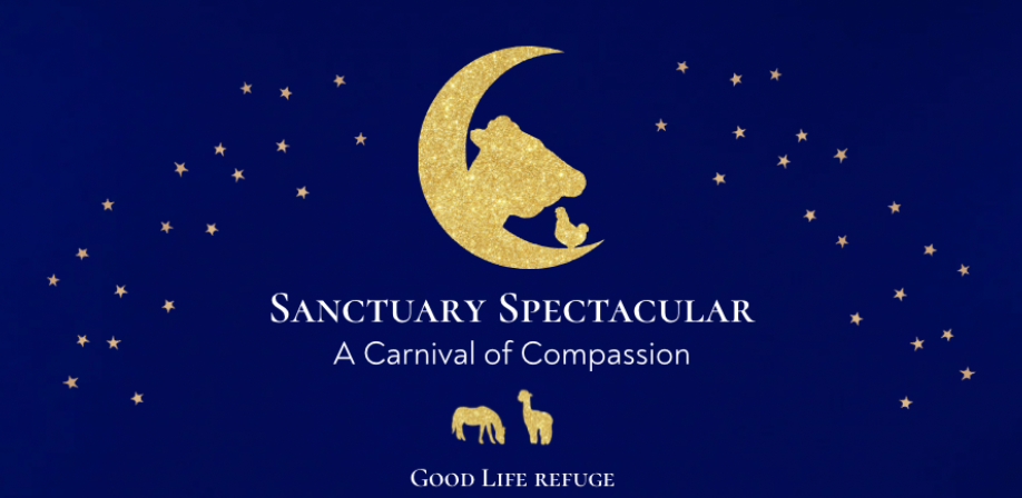 Sanctuary Spectacular Gala