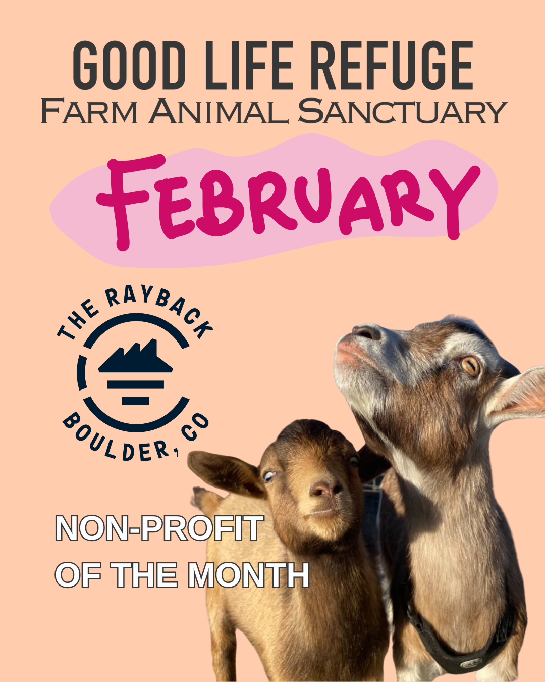 February Non-Profit of the Month