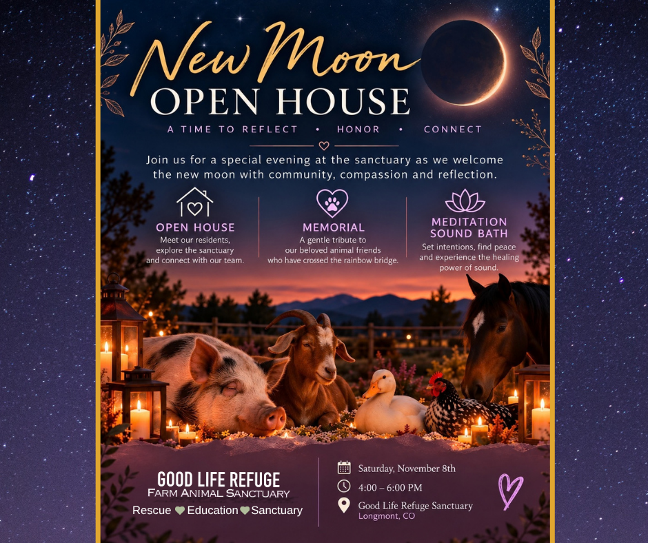 New Moon Open House: A Time to Reflect, Honor & Connect