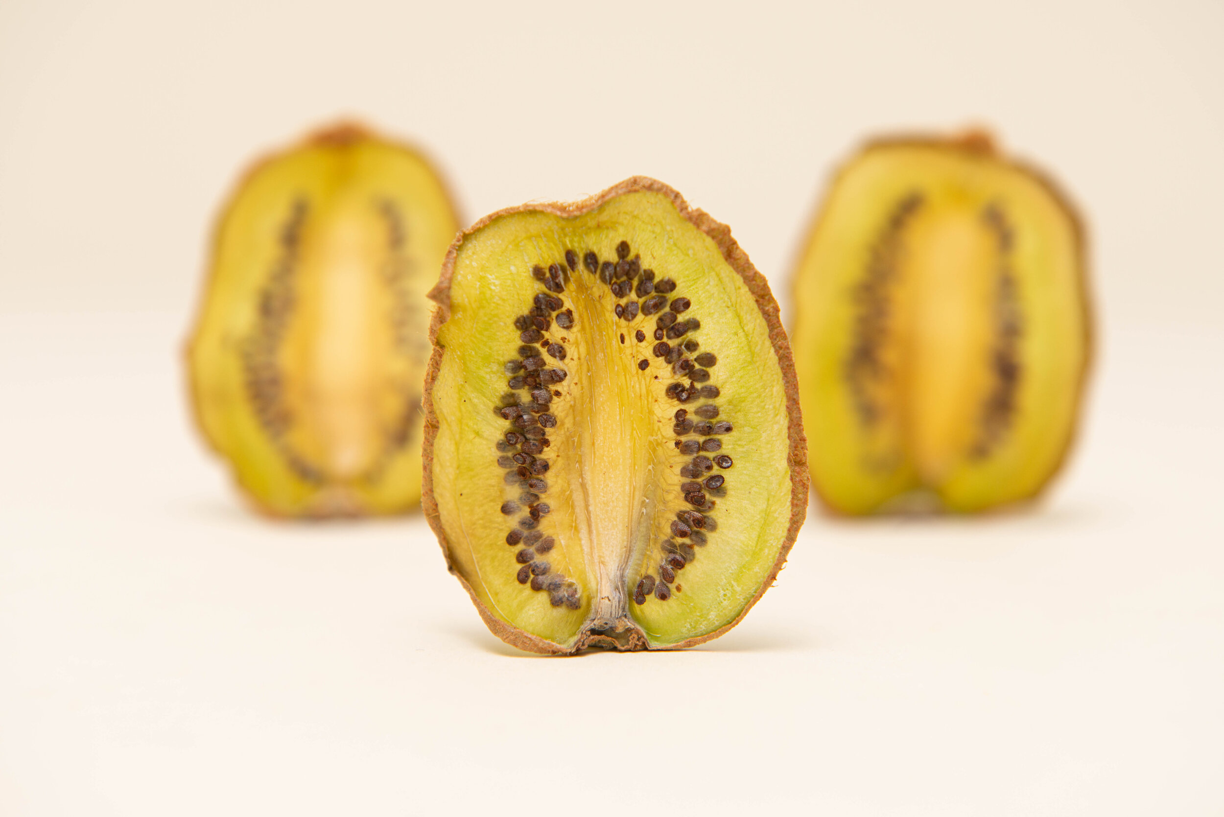 3 dehydrated kiwi garnishes for cocktails | DEHY Garnish