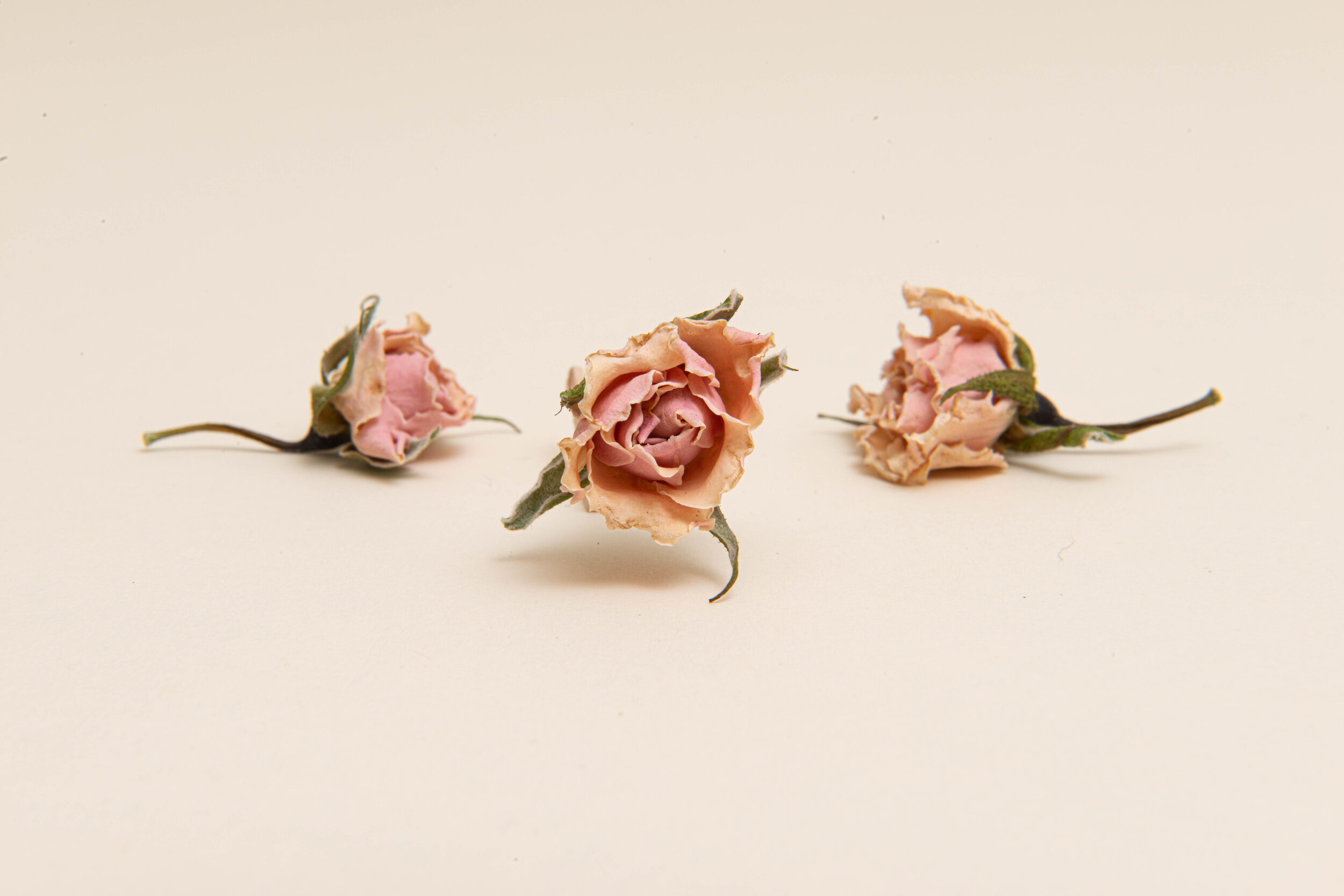 Three hand cut dehydrated roses for cocktails | DEHY Garnish