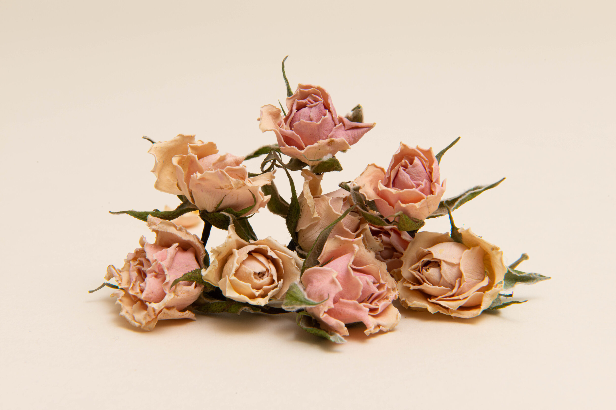 bundle of hand cut dehydrated roses for cocktails | DEHY Garnish
