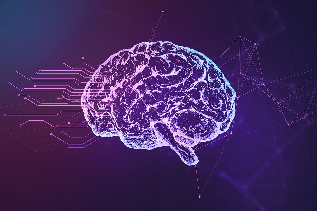 Brain Wave States