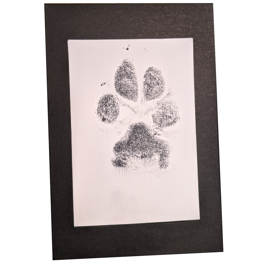 Free Ink Paw Print — Forever Loved Pet Aquamation