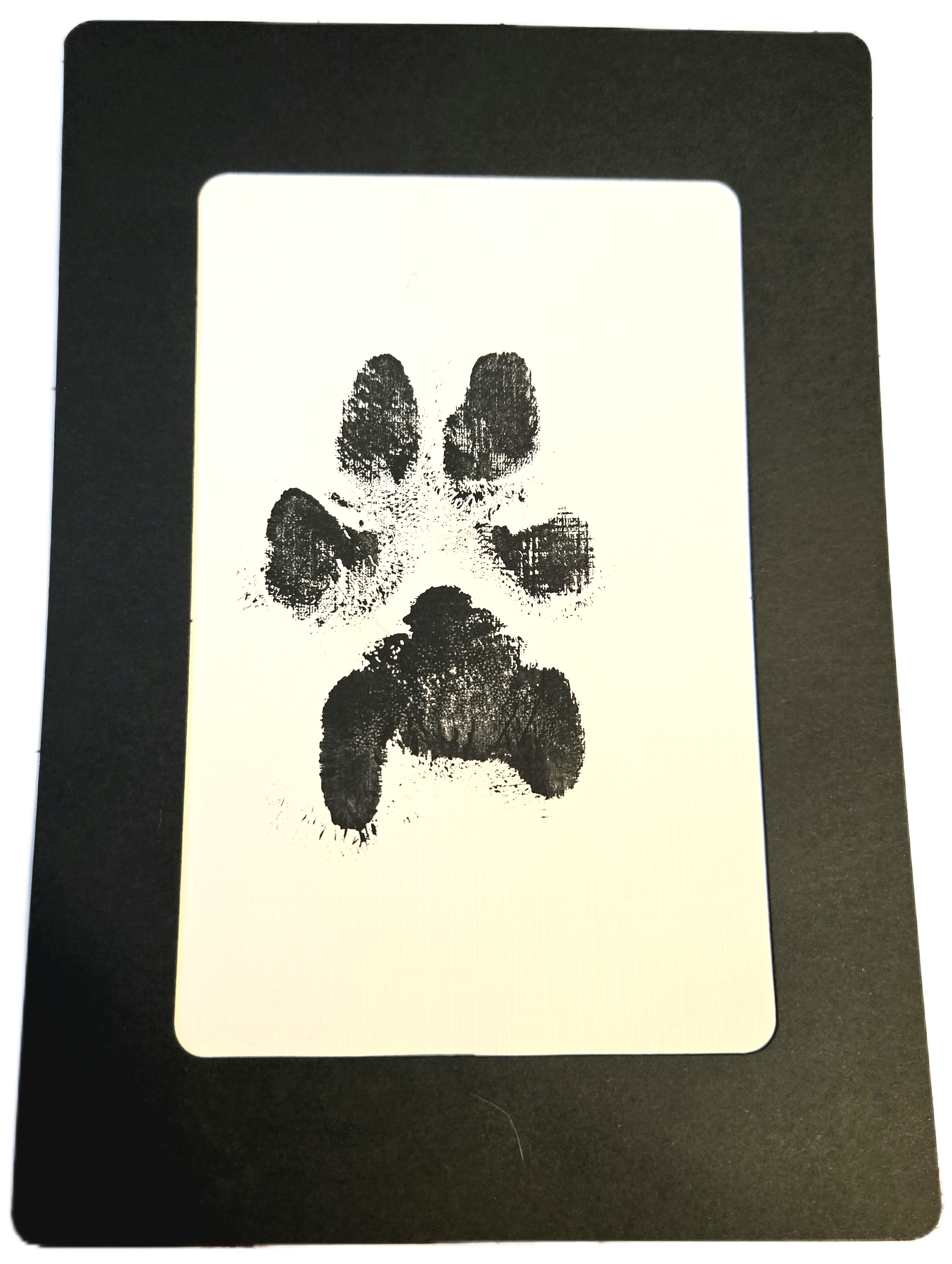 Paint Print on Cardstock