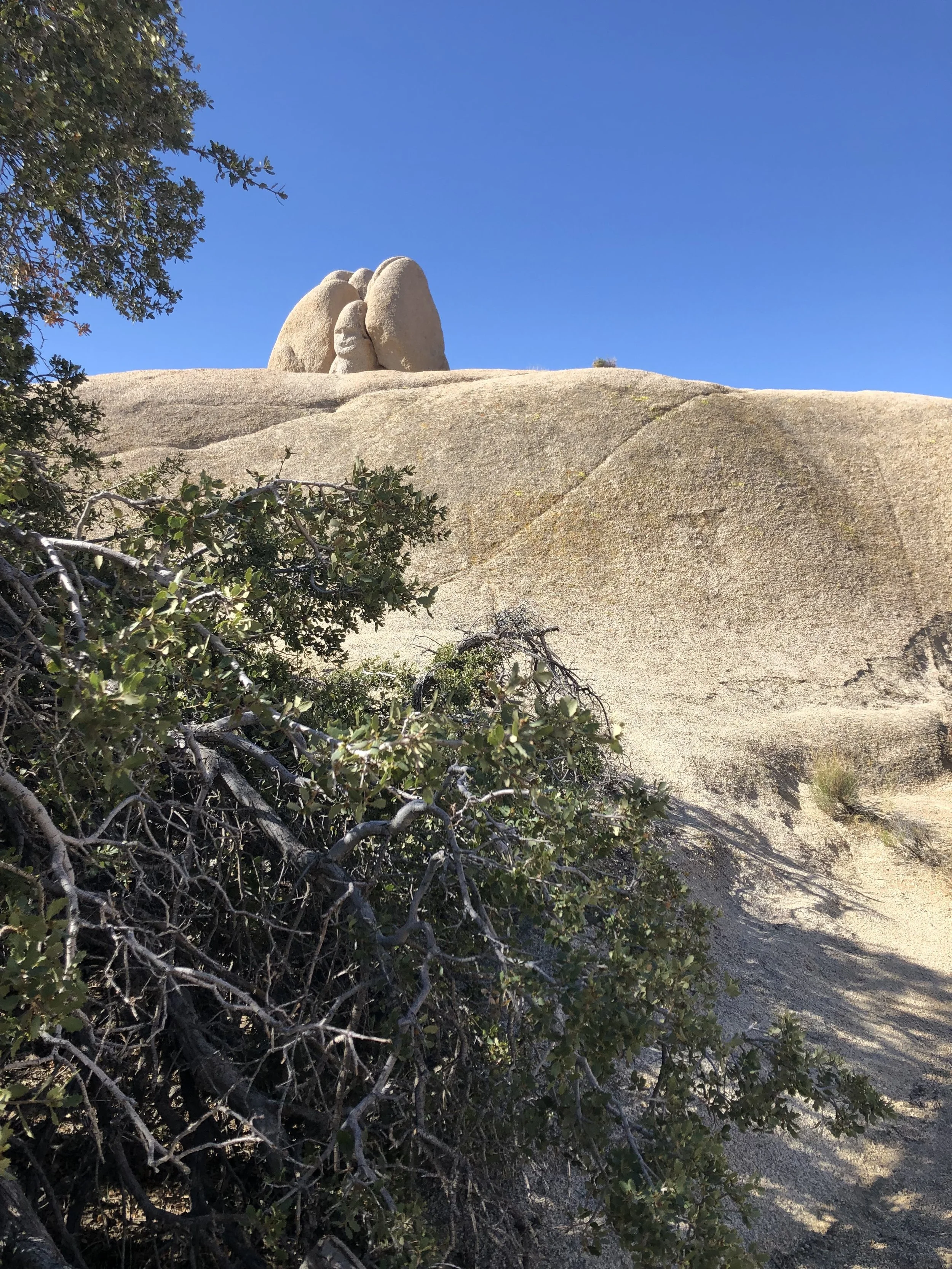 Abounding in Steadfast Love