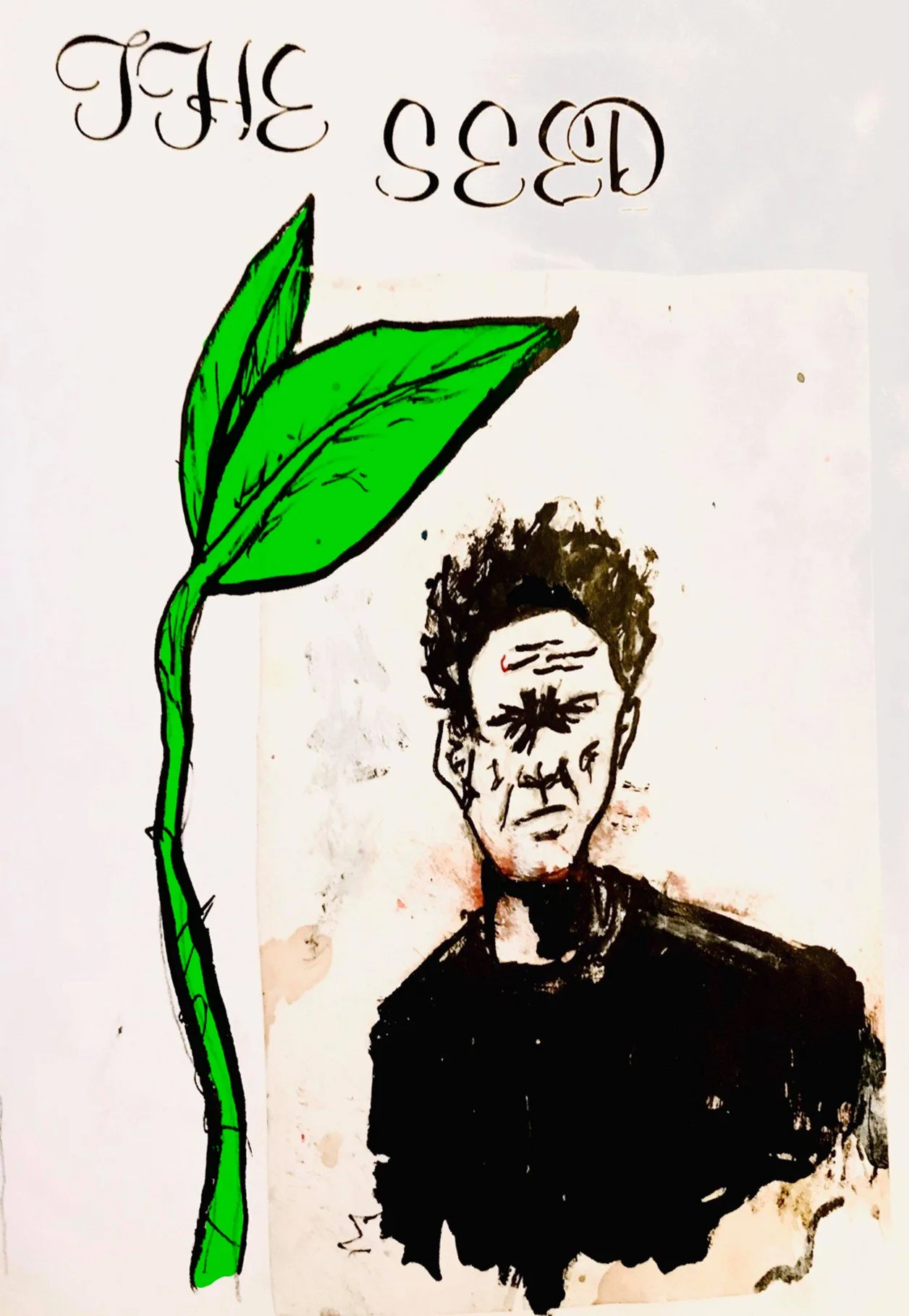 The seed cover (1).jpg