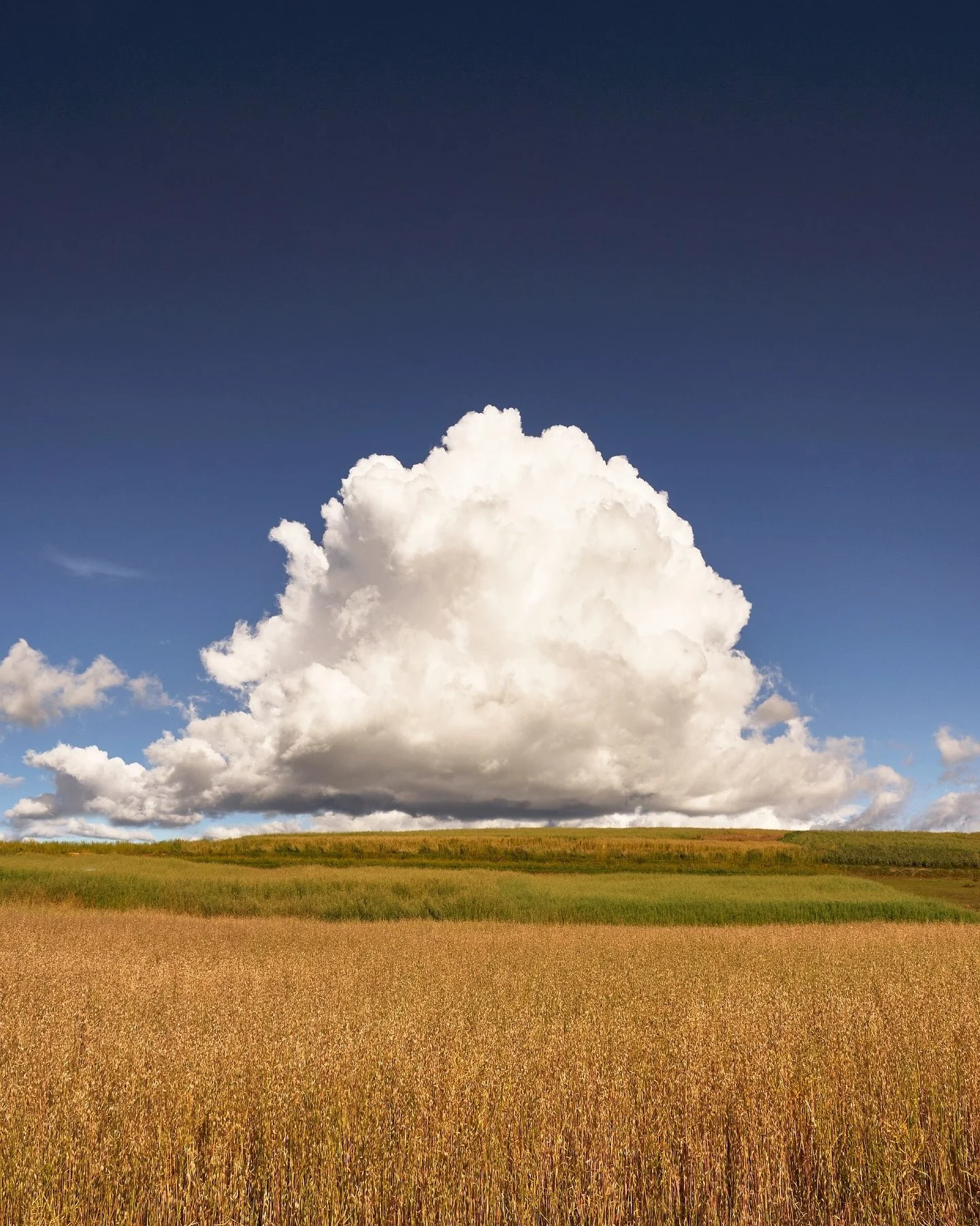 Nubes de Maras
.
.
.
.
#bhcreators #bhphoto #sonyalpha #sigma #peru #lexar #traveller #bealpha #peakdesign #kfconcept #kfcreator #SmallRig #SIGMA #SIGMAphoto #photography #cusco #urubamba #adobestockenespa&ntilde;ol #landscapes #landscapeslovers #and