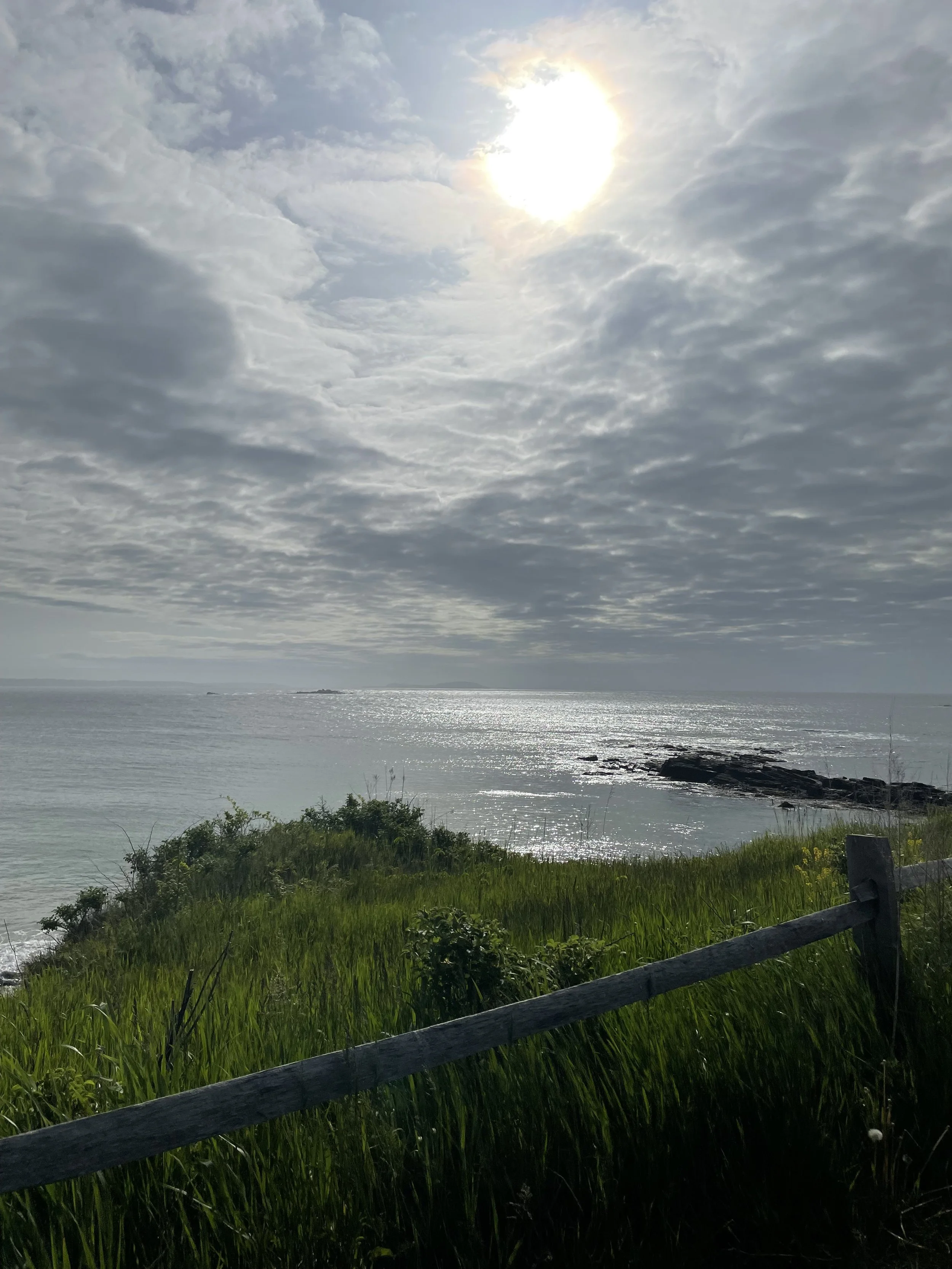 IMG_0594.jpeg